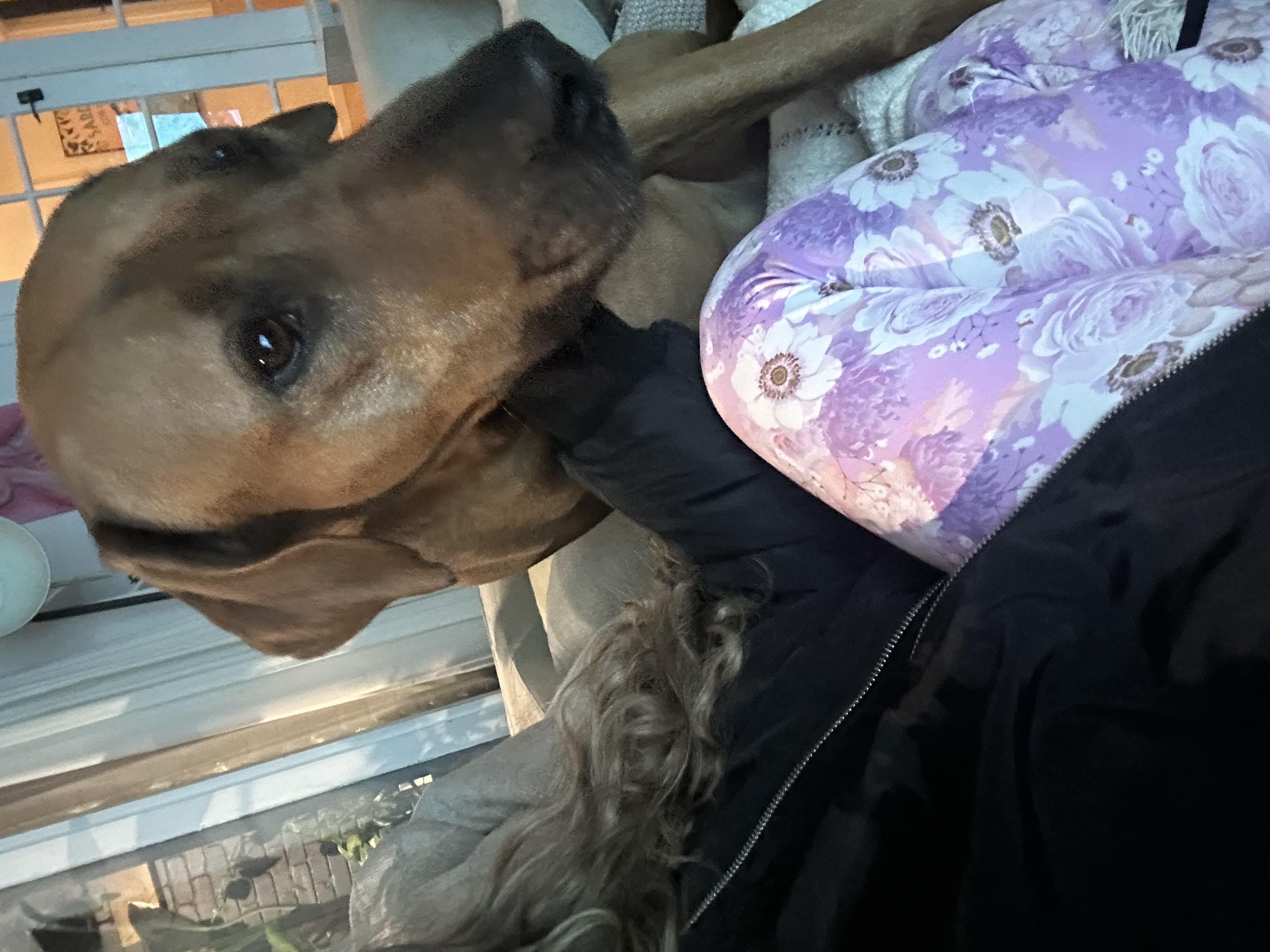 image-6