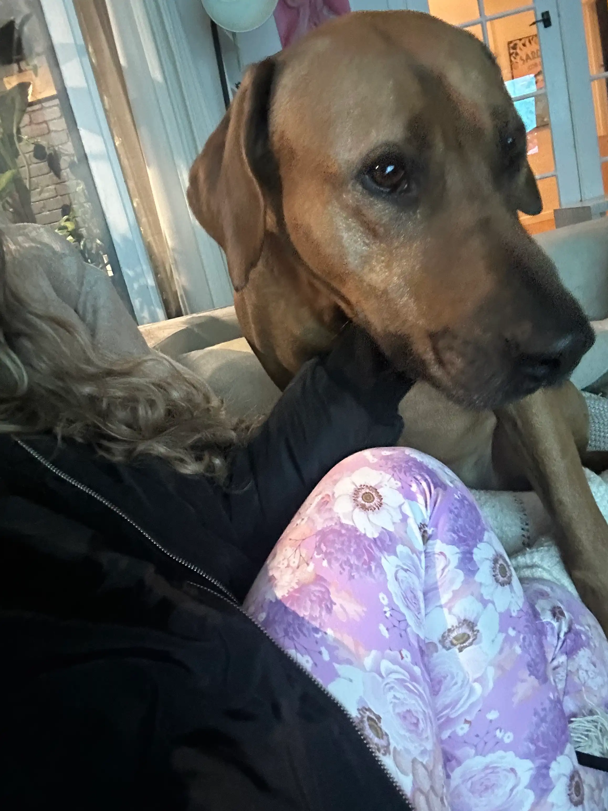 image-6