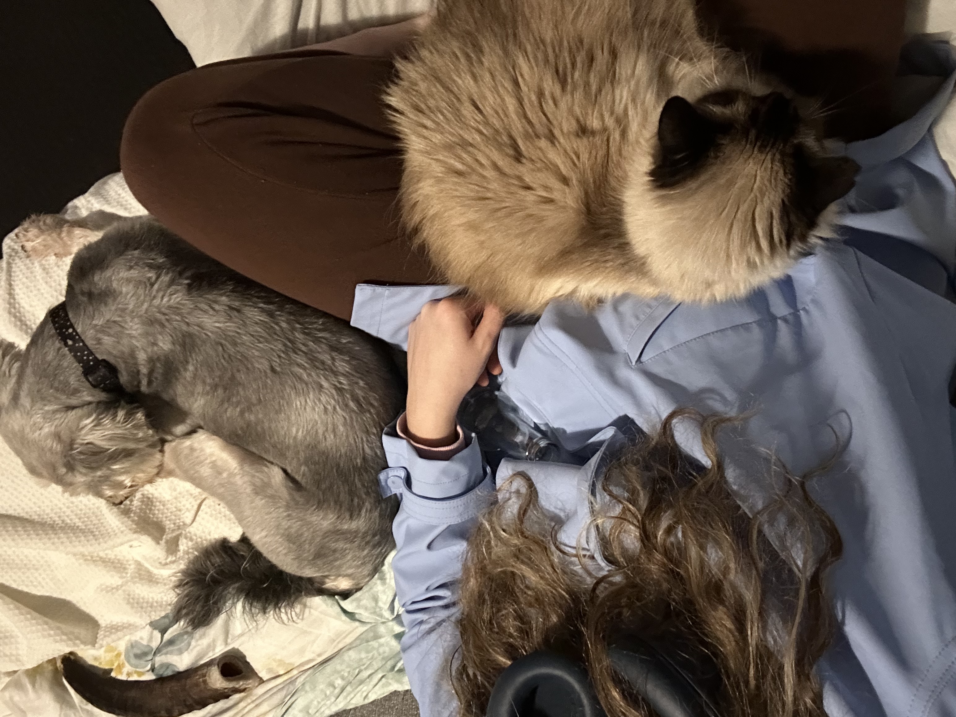 image-7