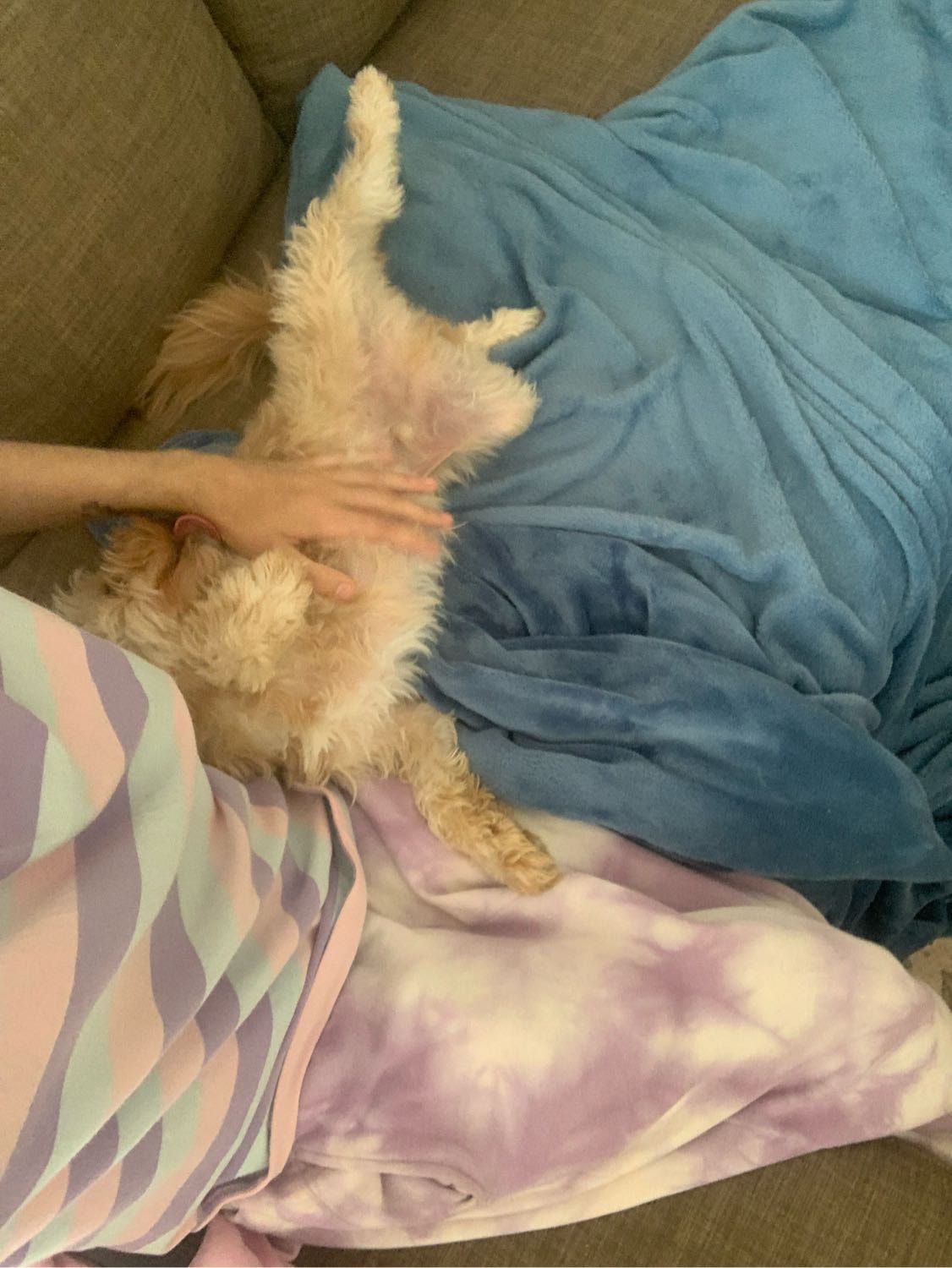 image-6