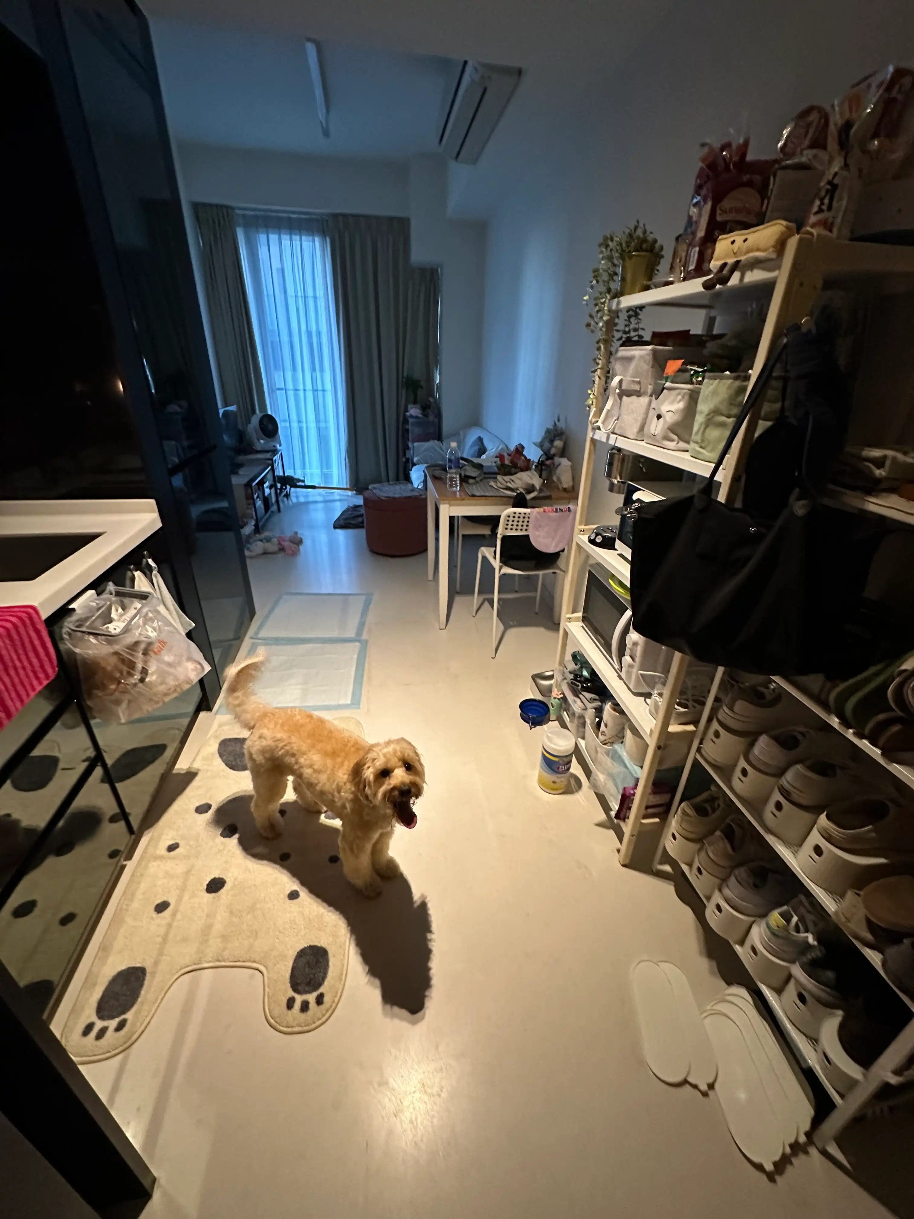 image-16