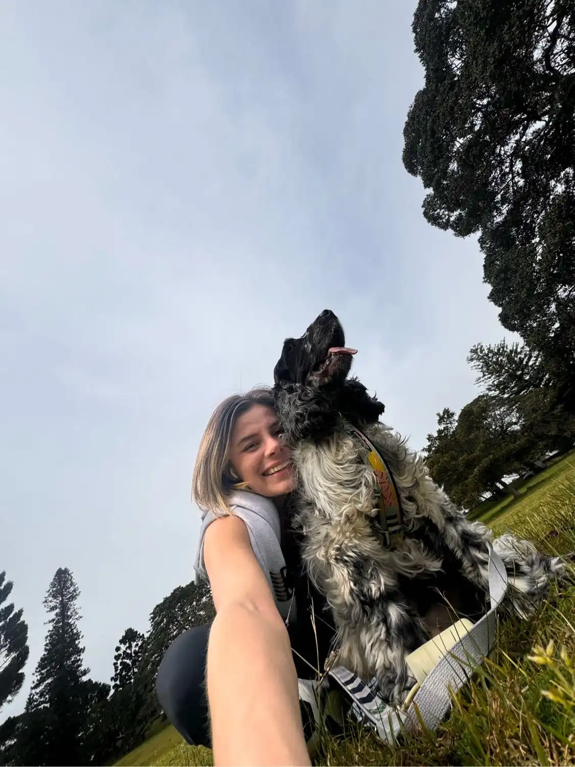 image-6