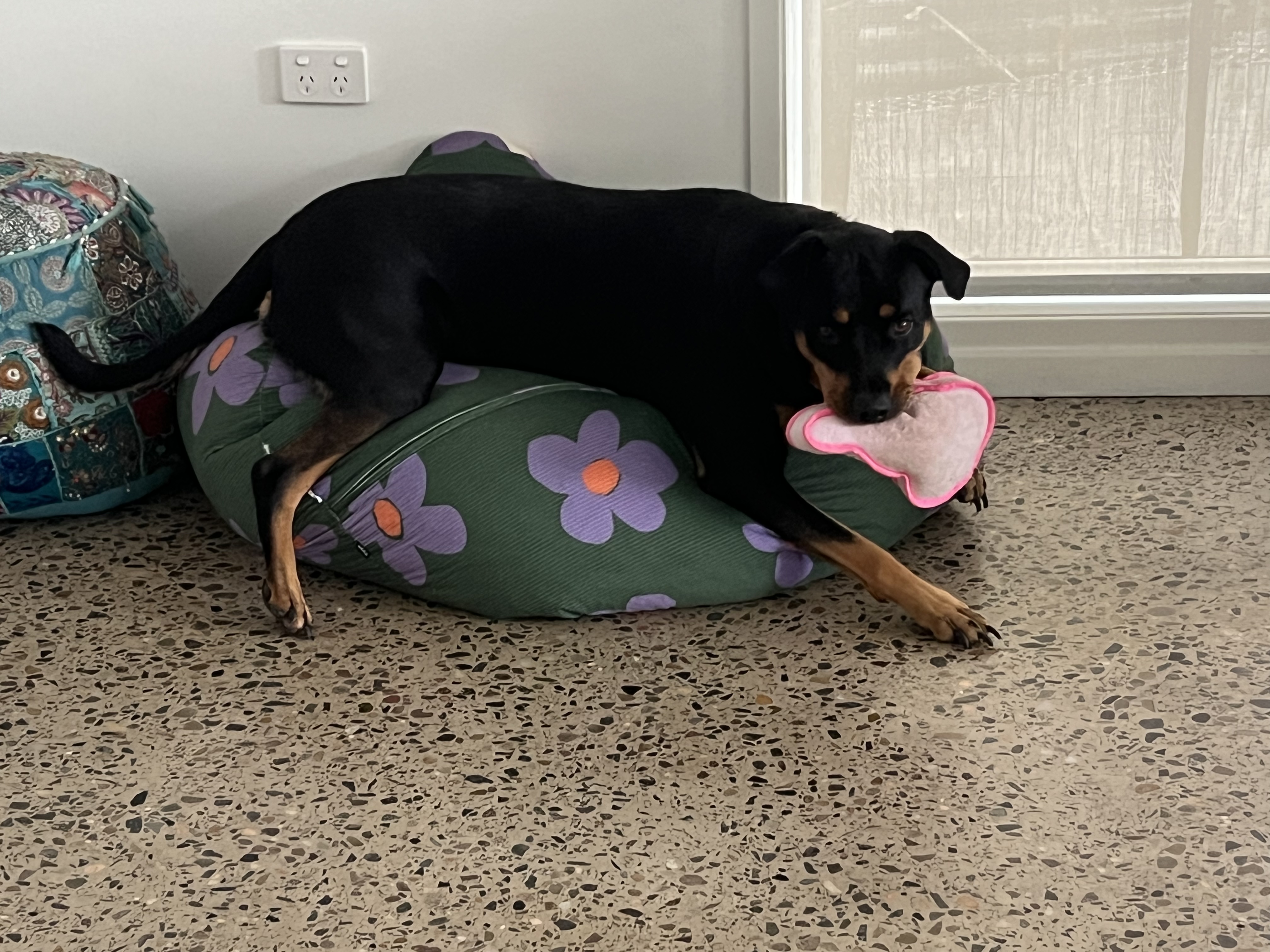image-12