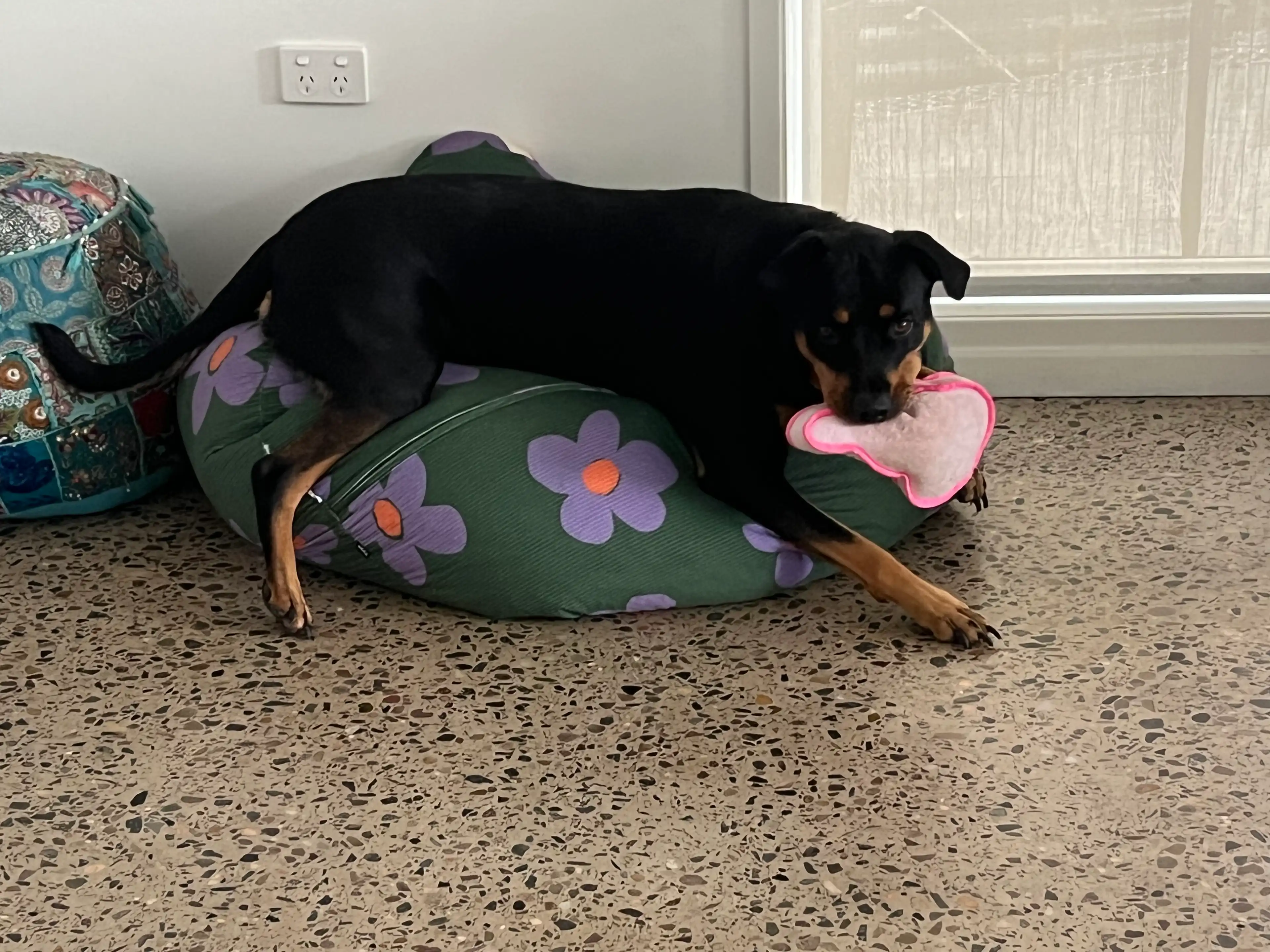 image-12