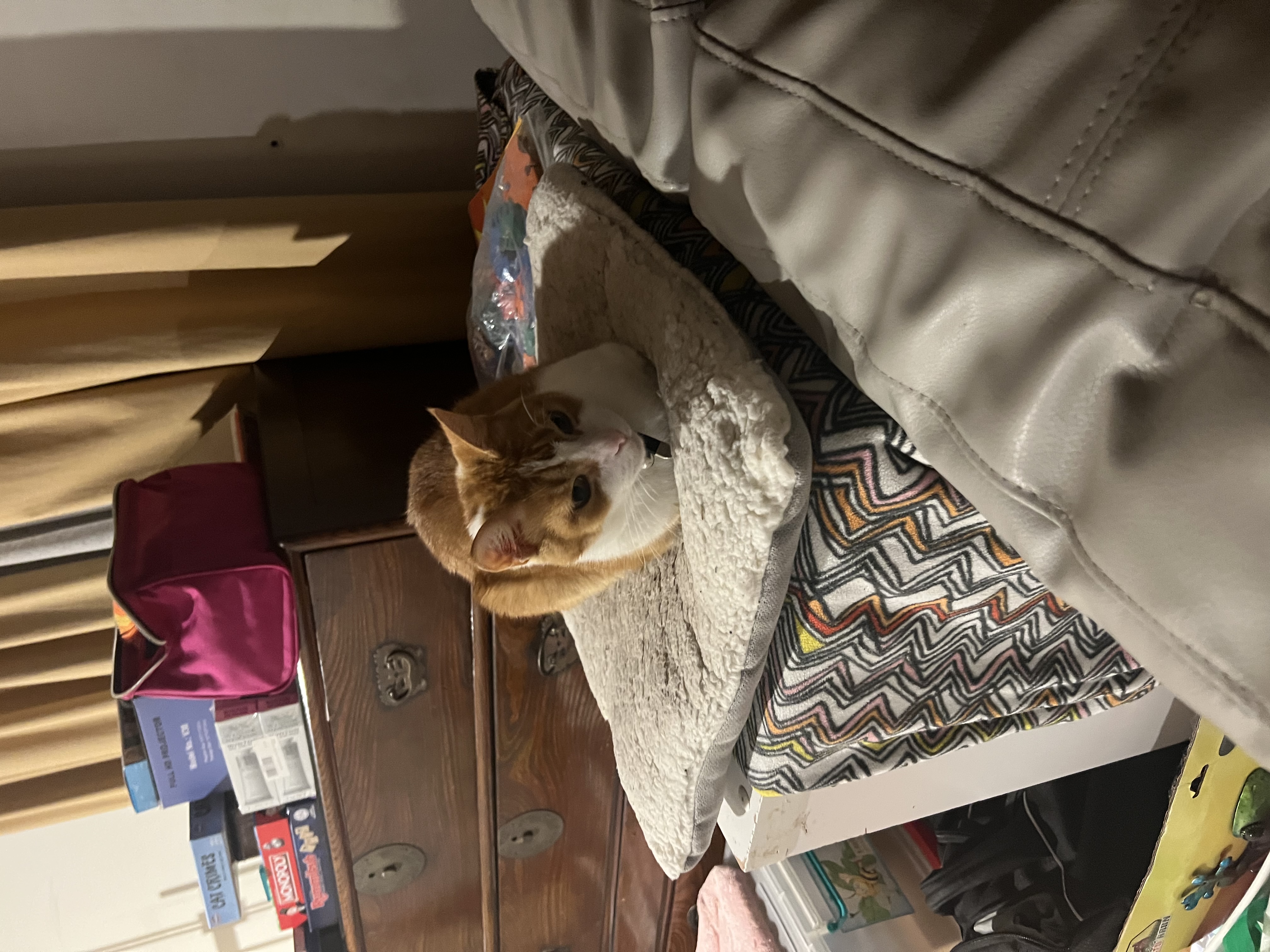 image-7