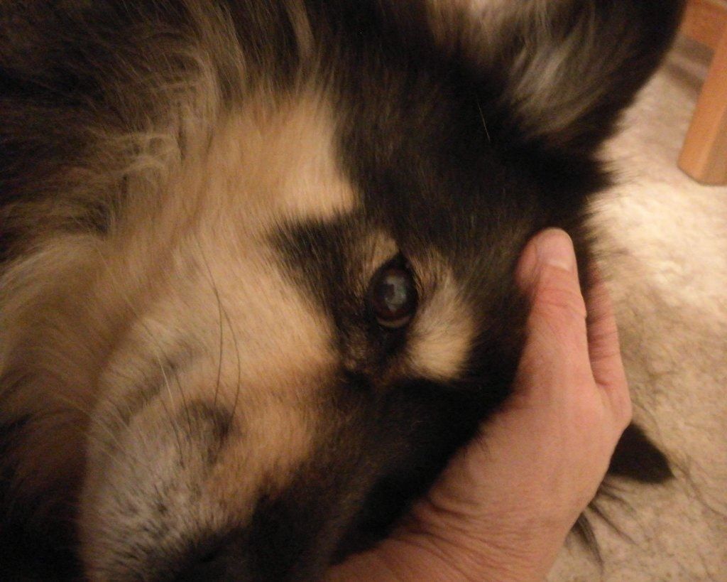 image-6