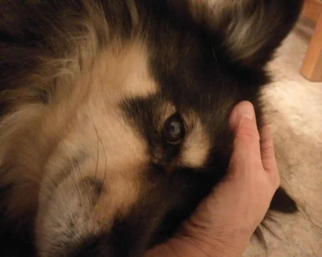 image-6