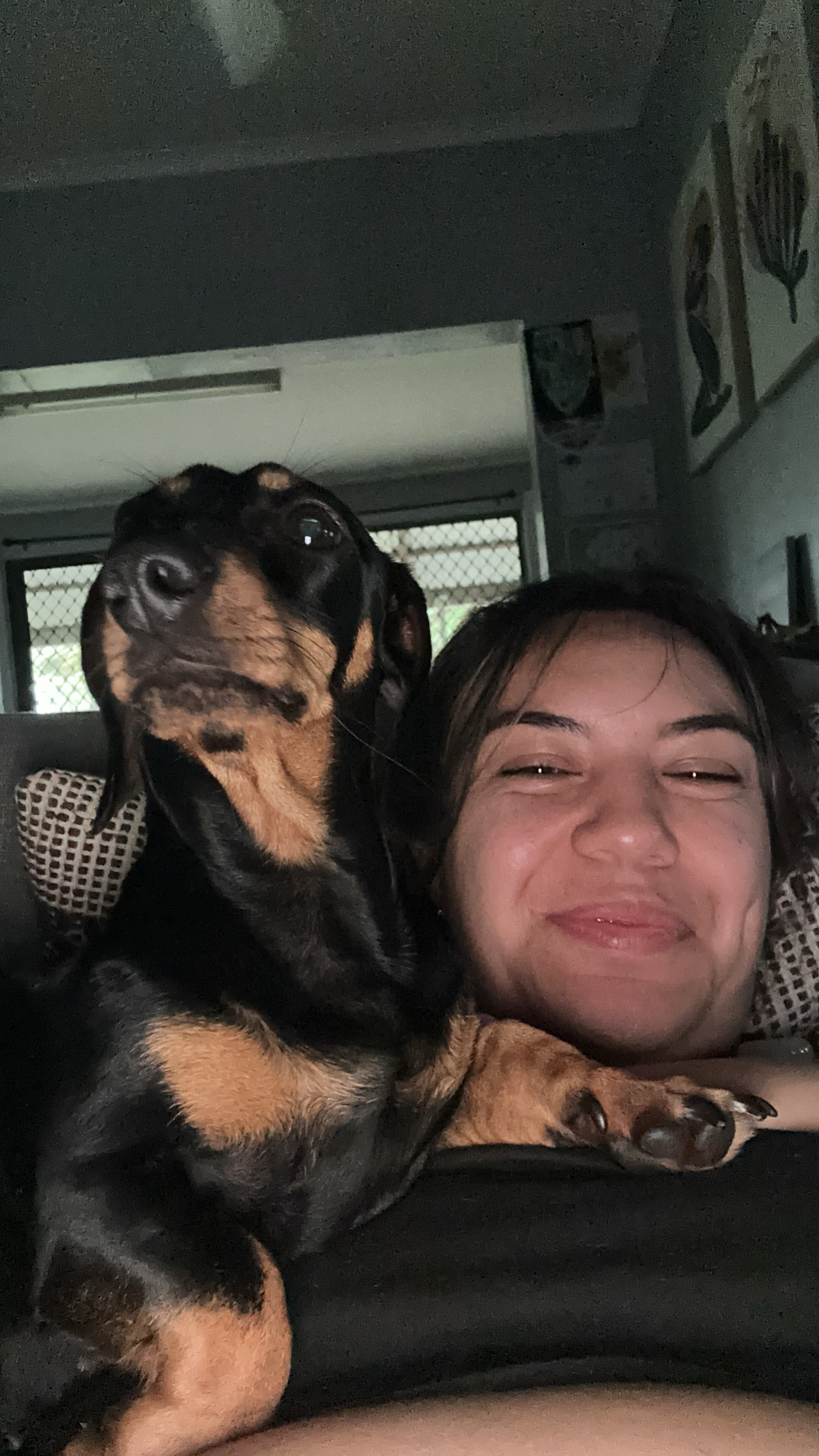 image-8