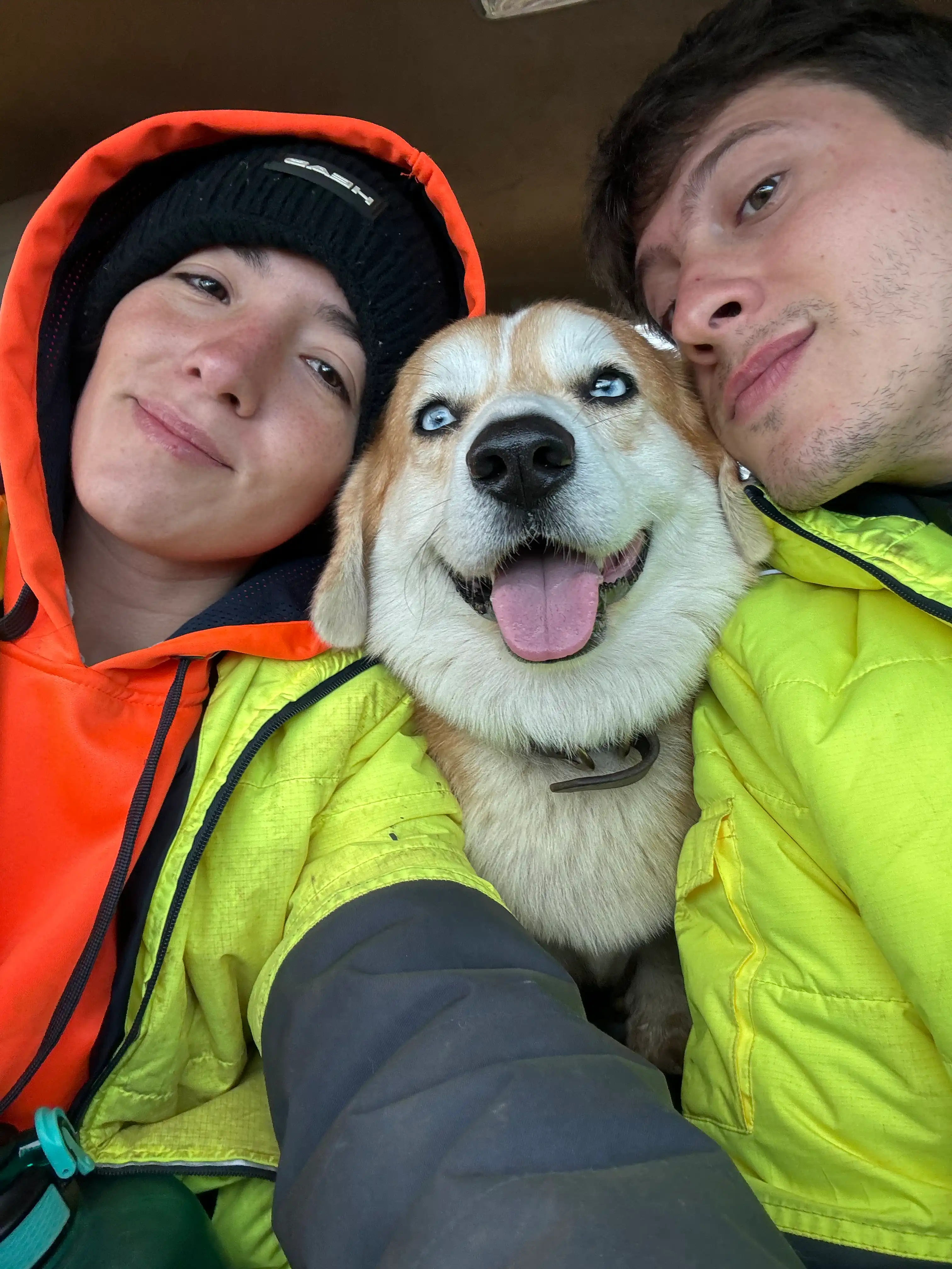 image-9