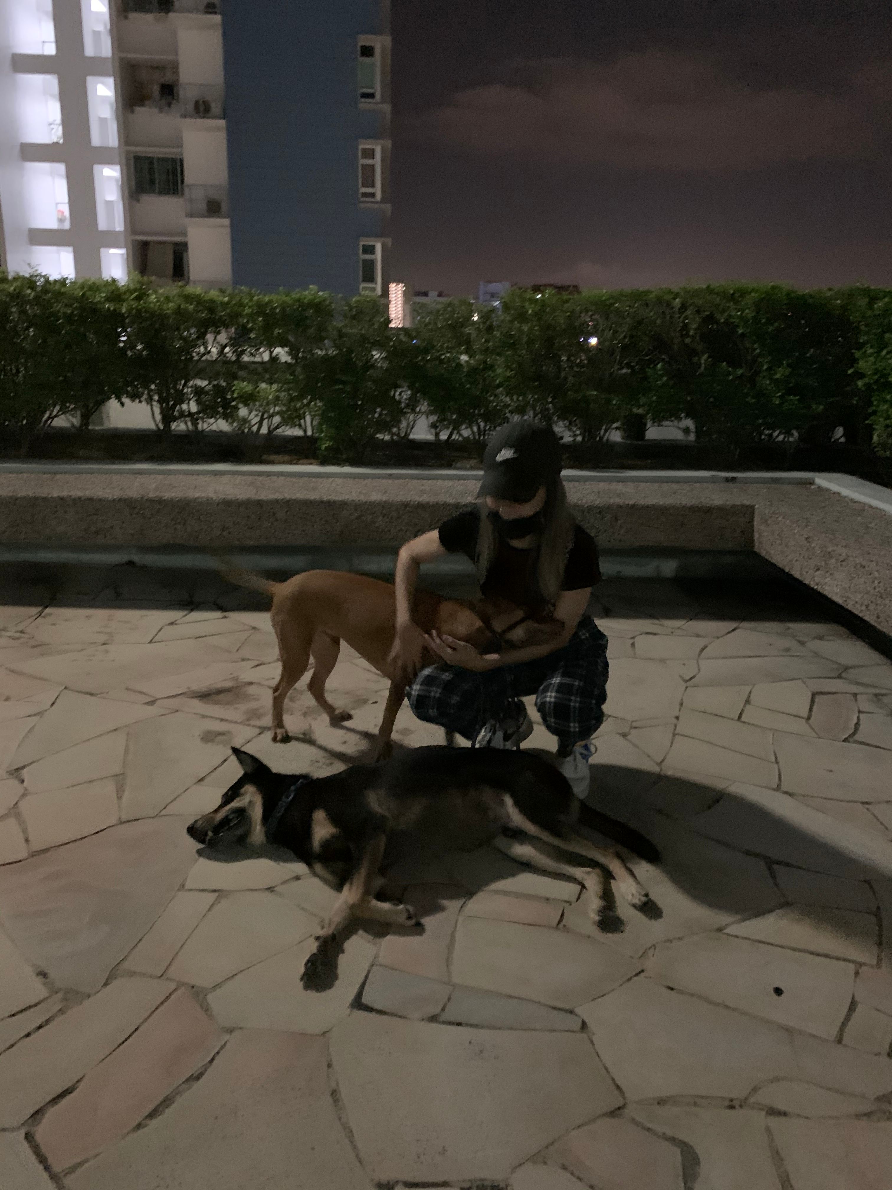 image-6
