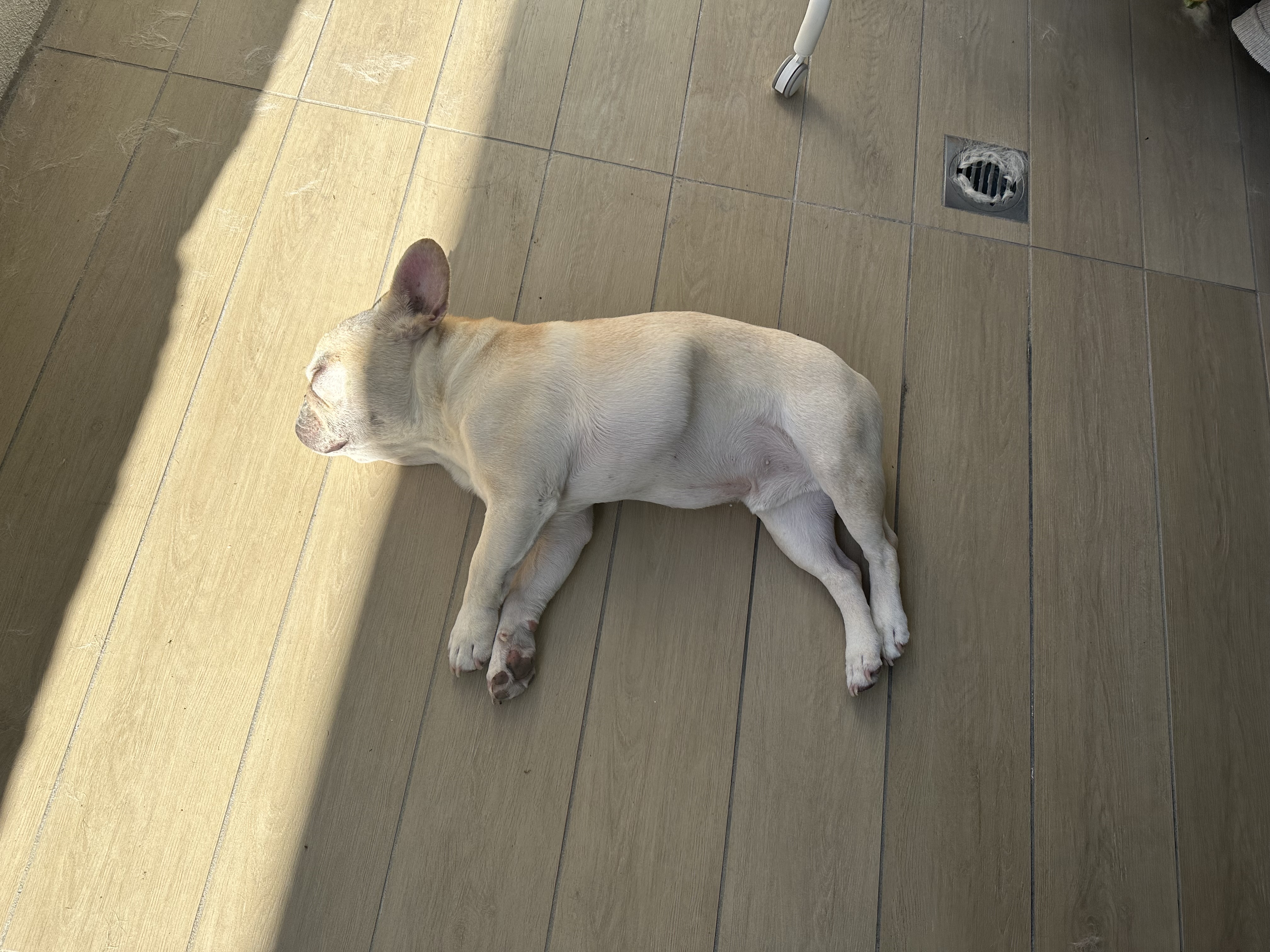 image-6