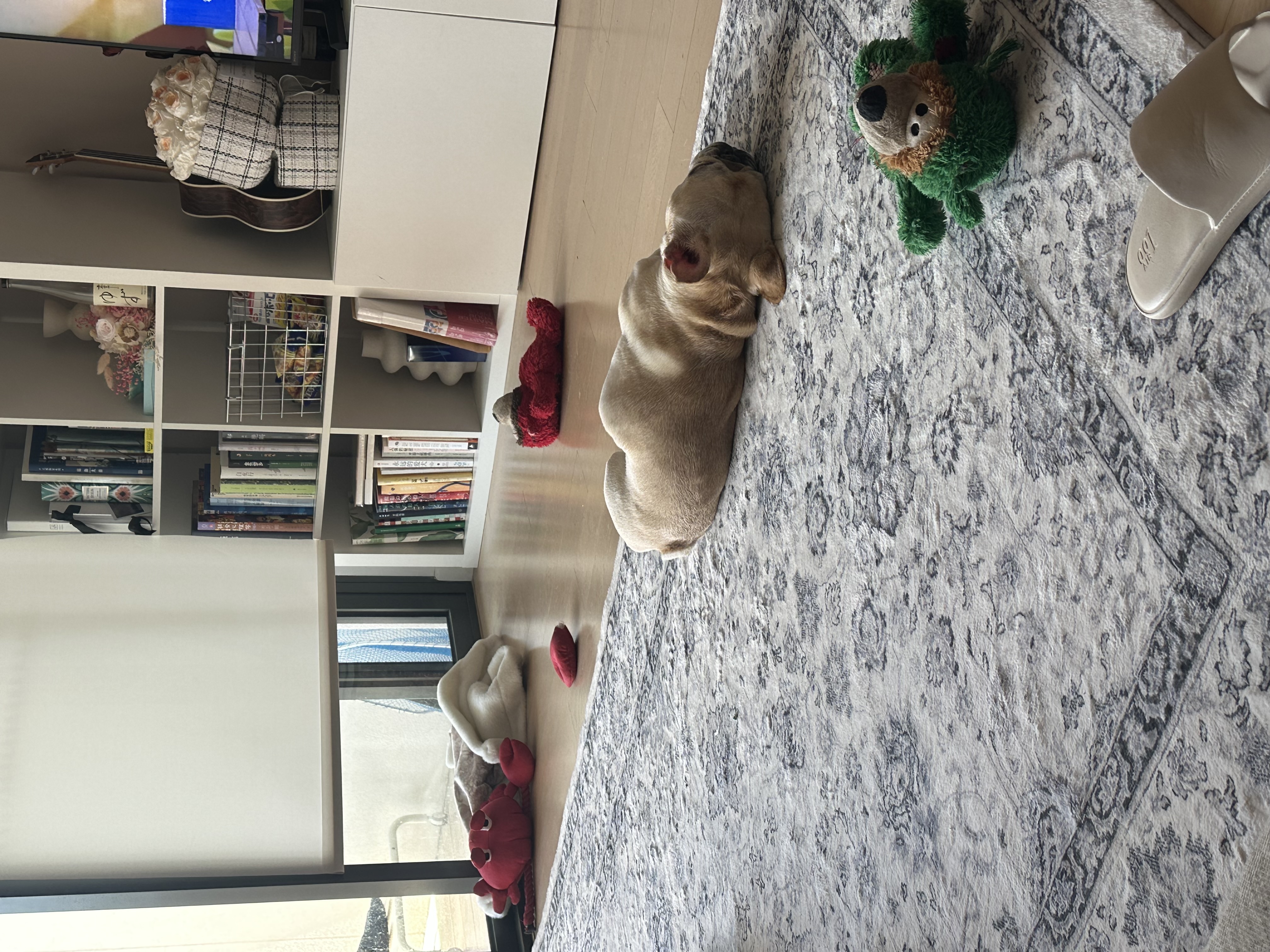 image-9