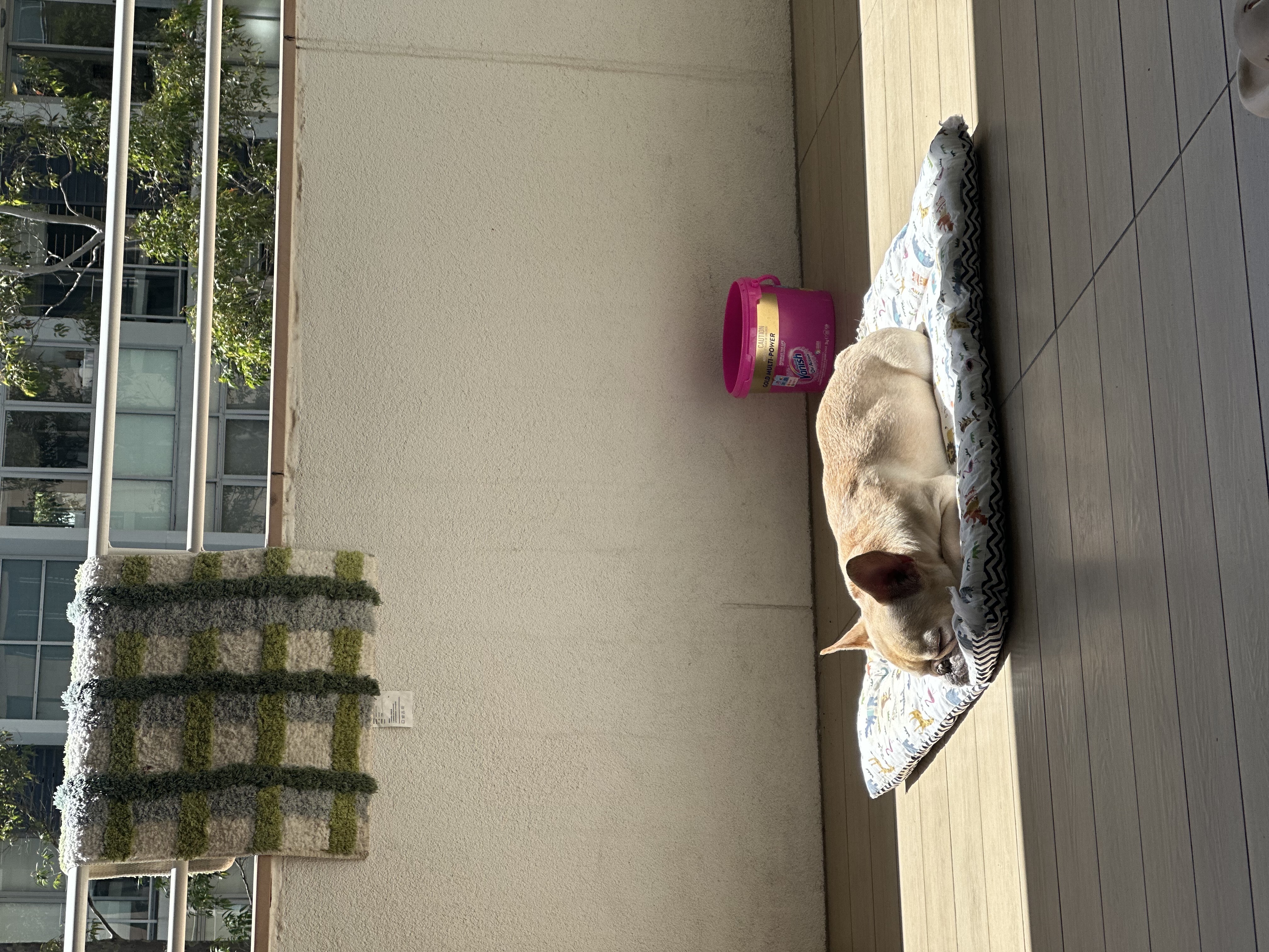 image-8