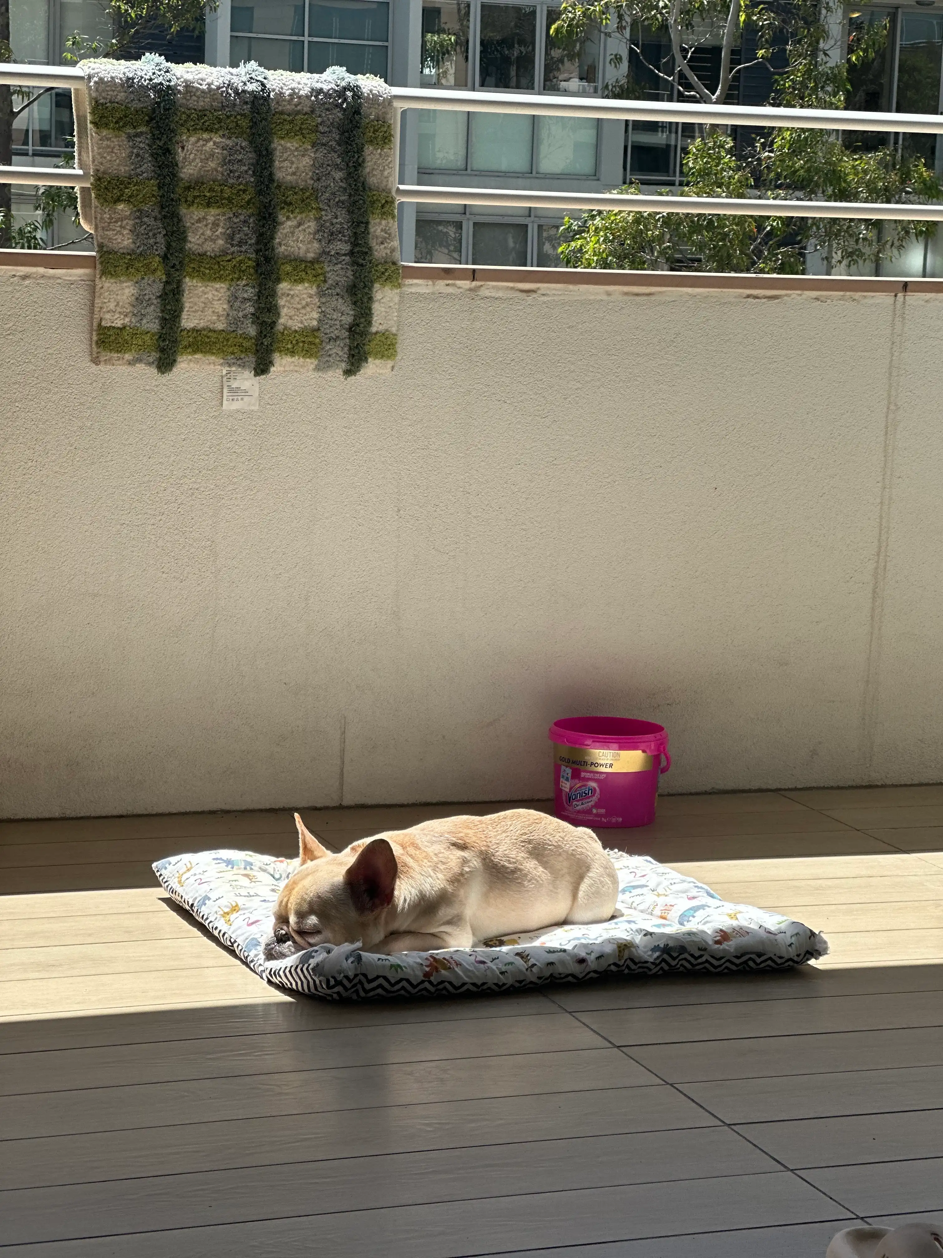 image-8
