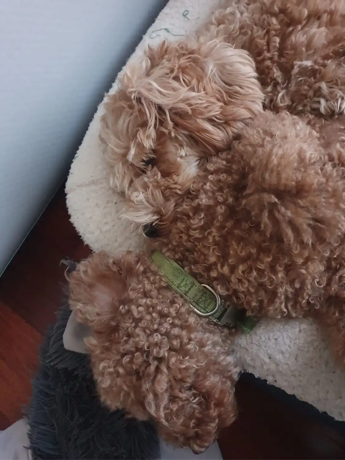 image-5