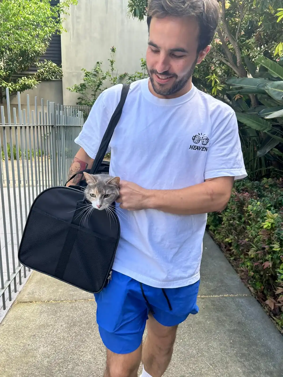 image-6