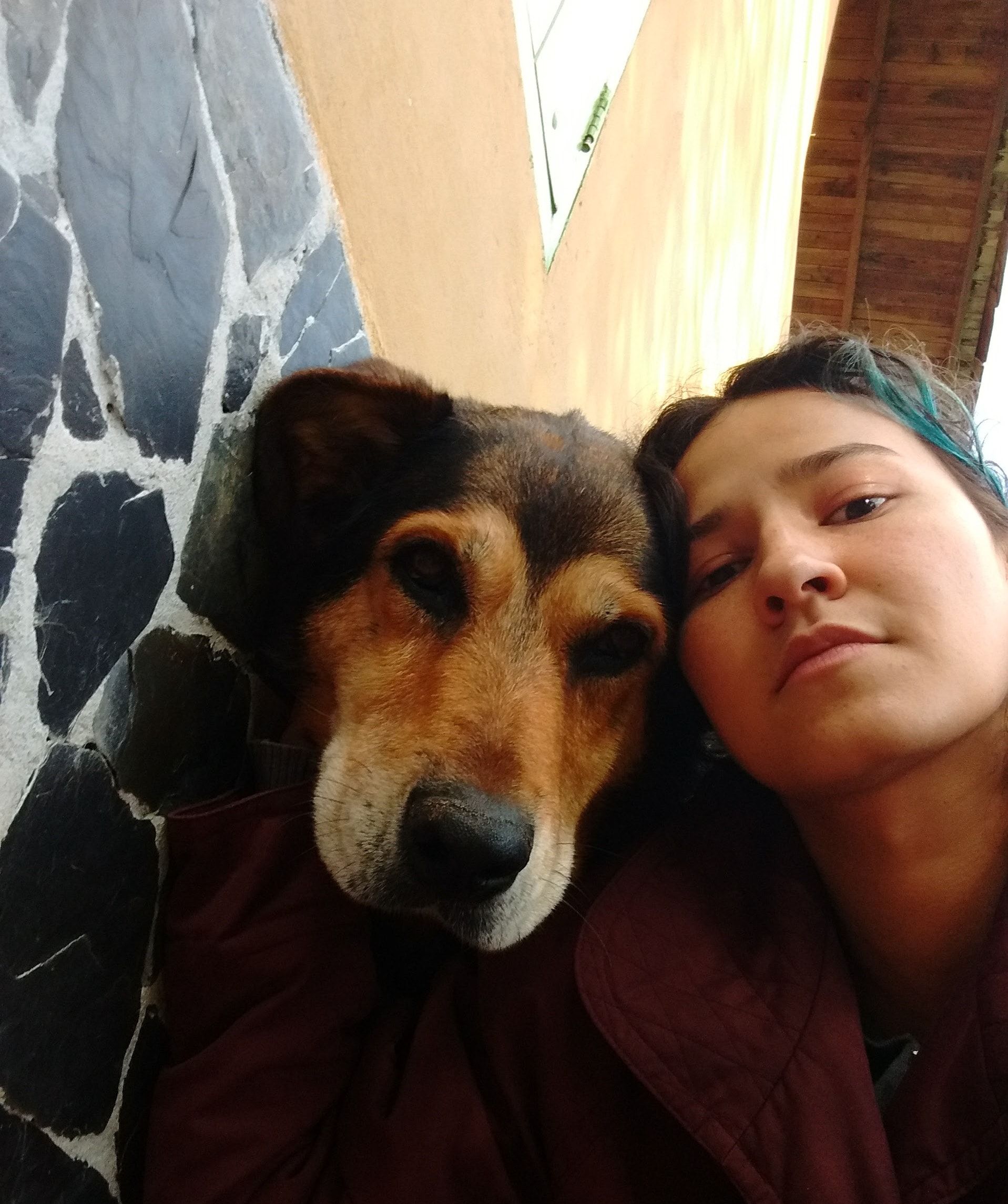 image-4