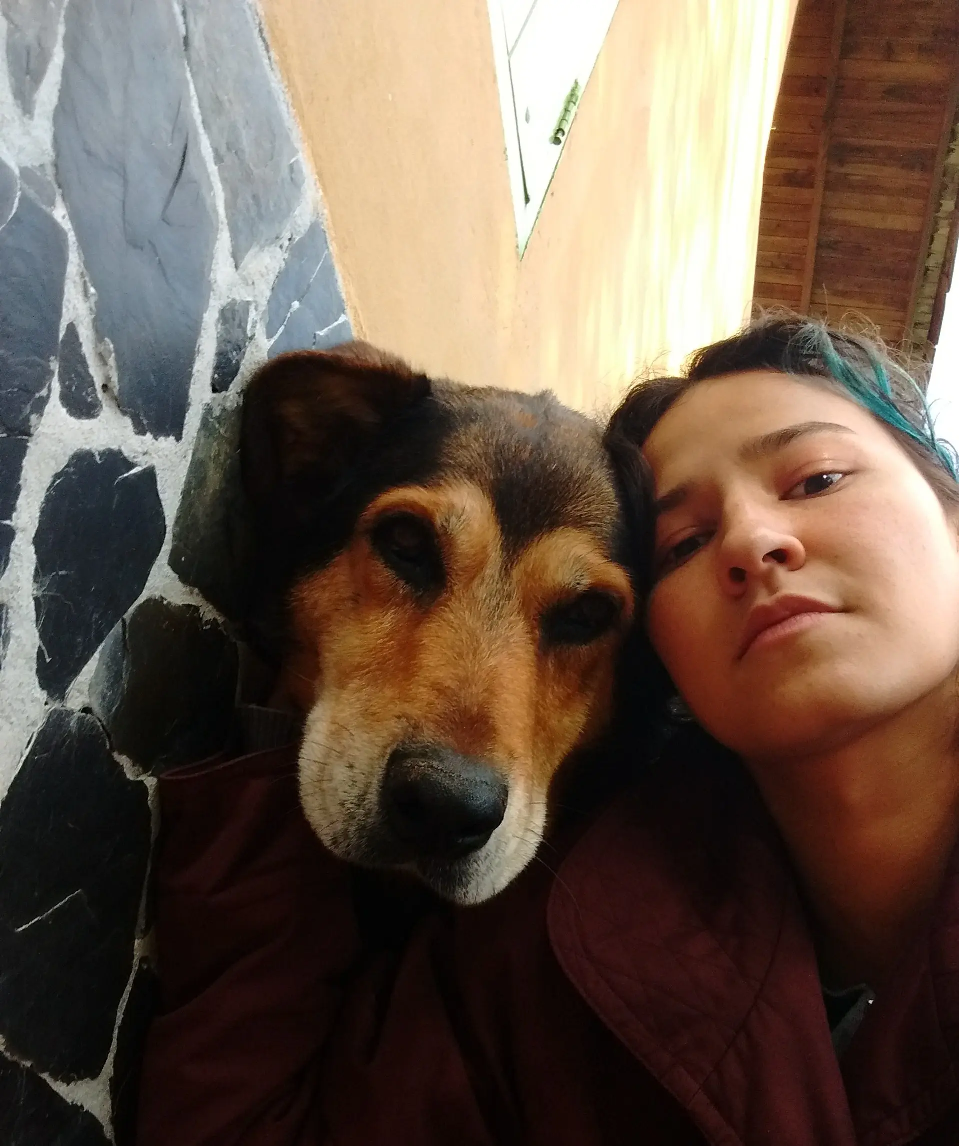 image-4