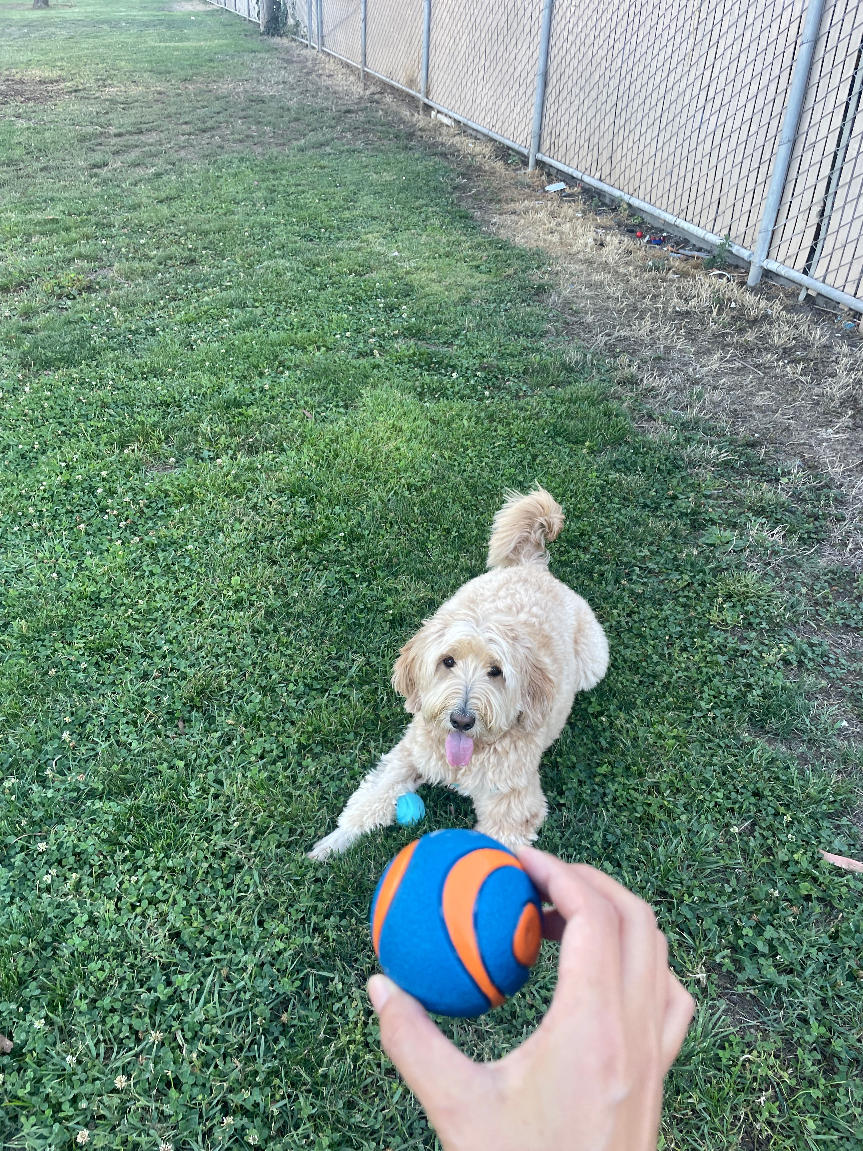 image-6