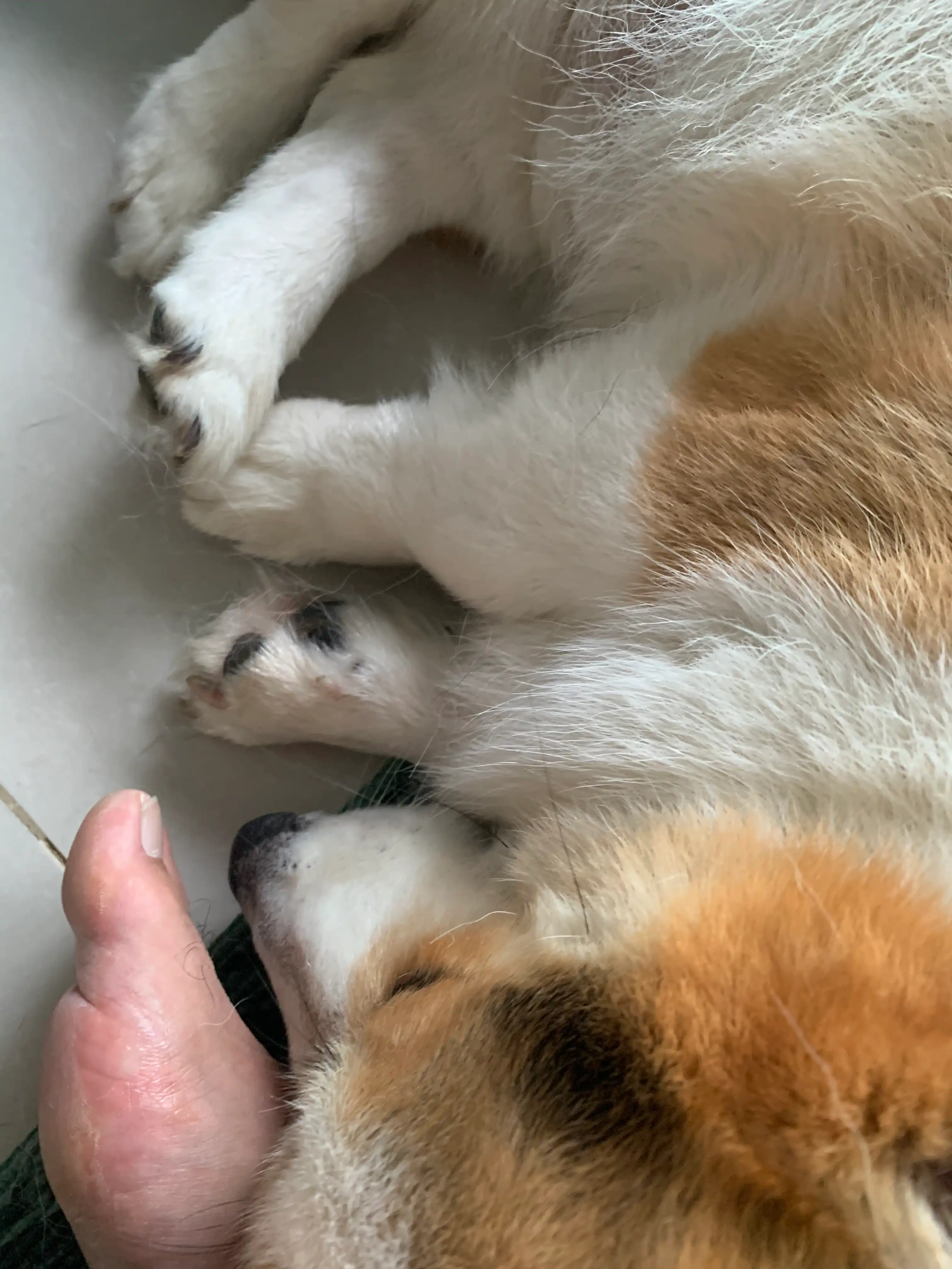 image-7