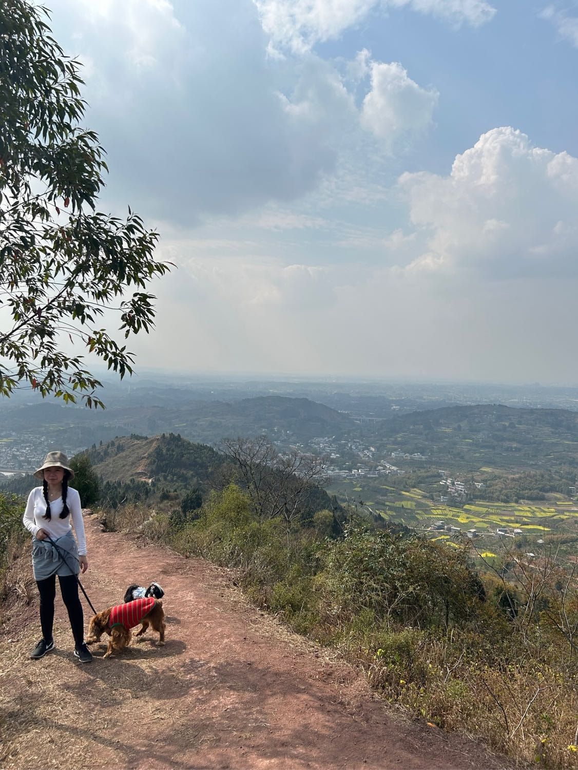 image-12
