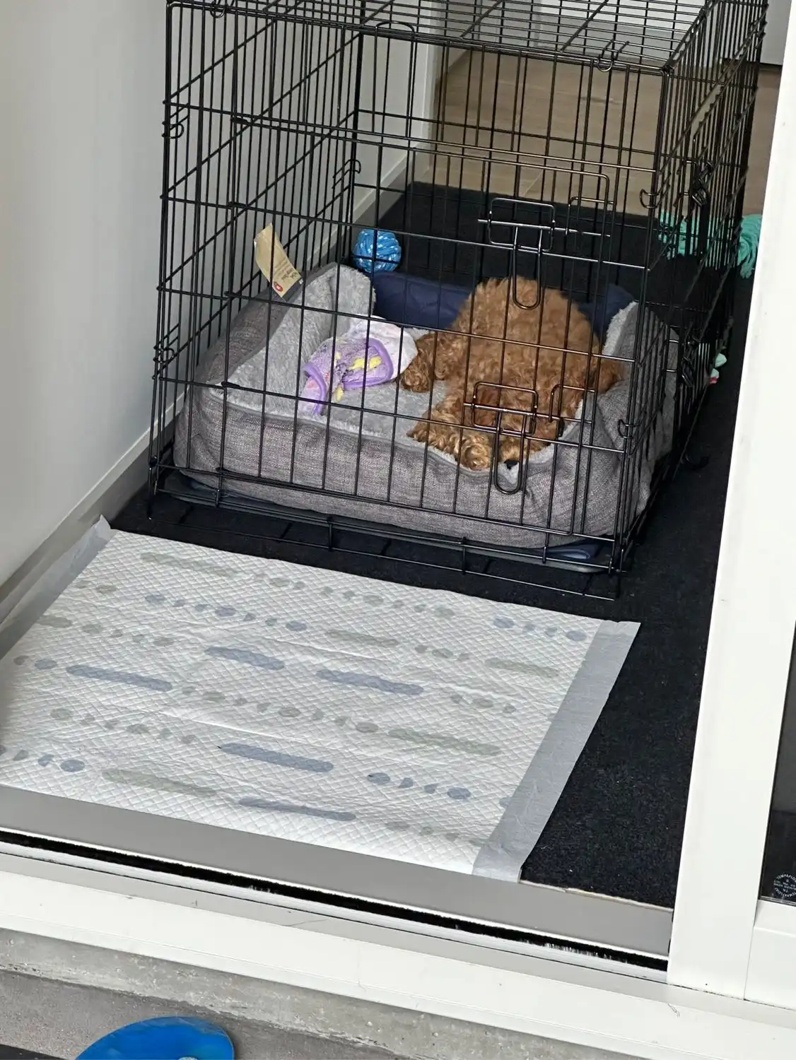 image-7