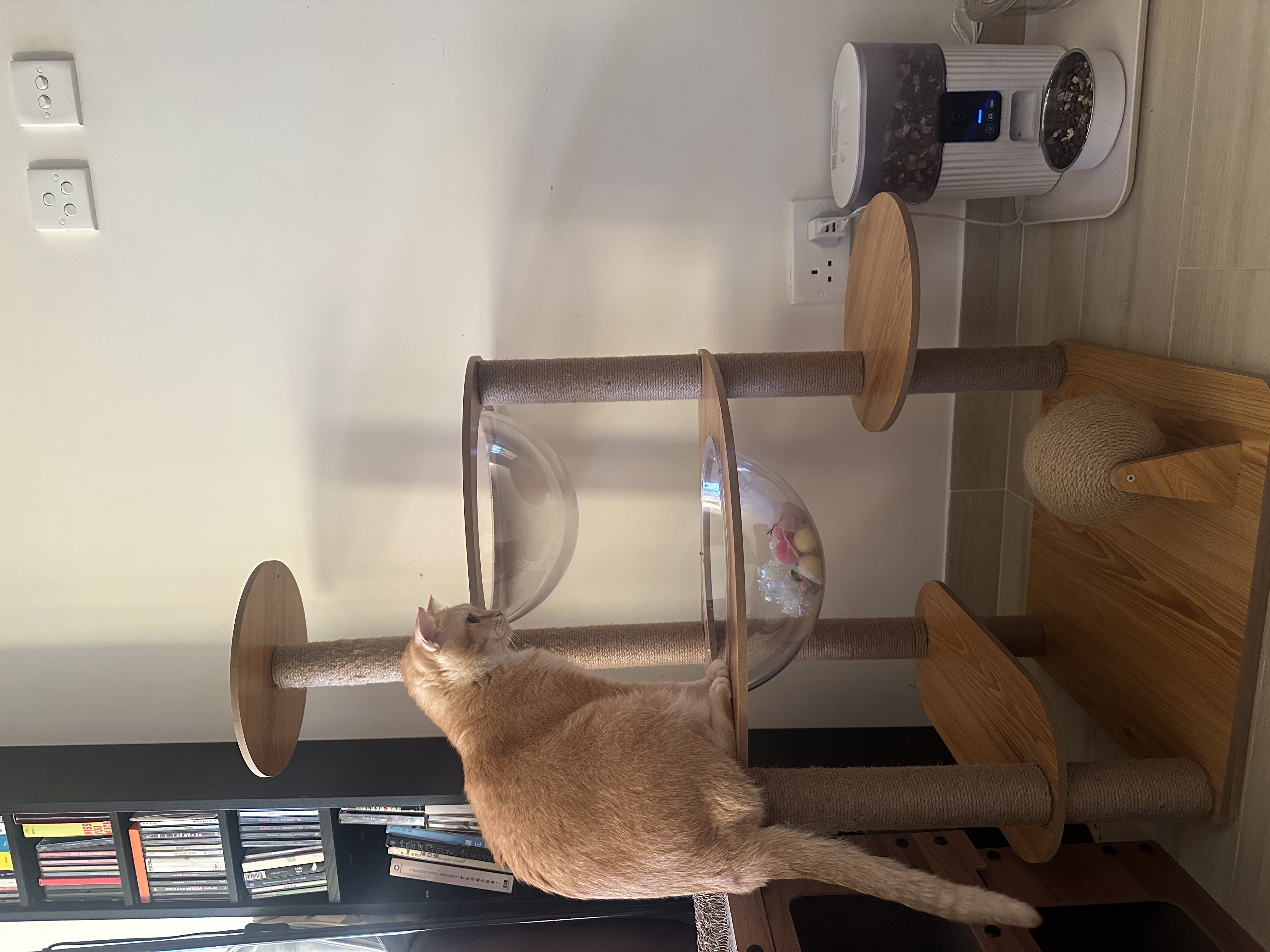 image-10