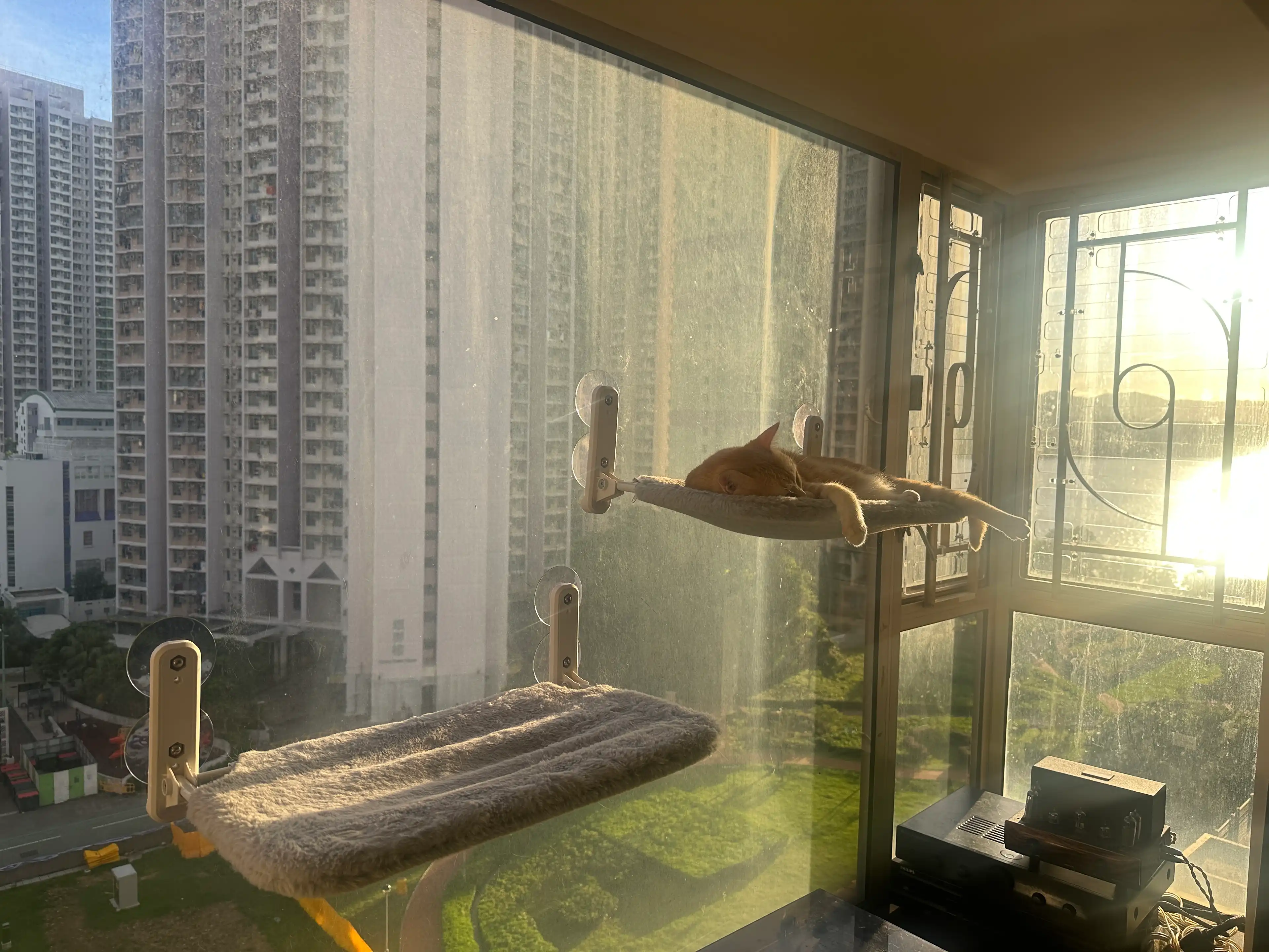 image-7