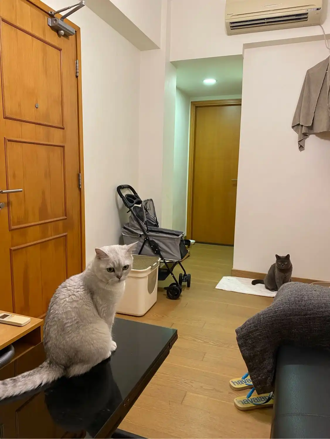 image-18