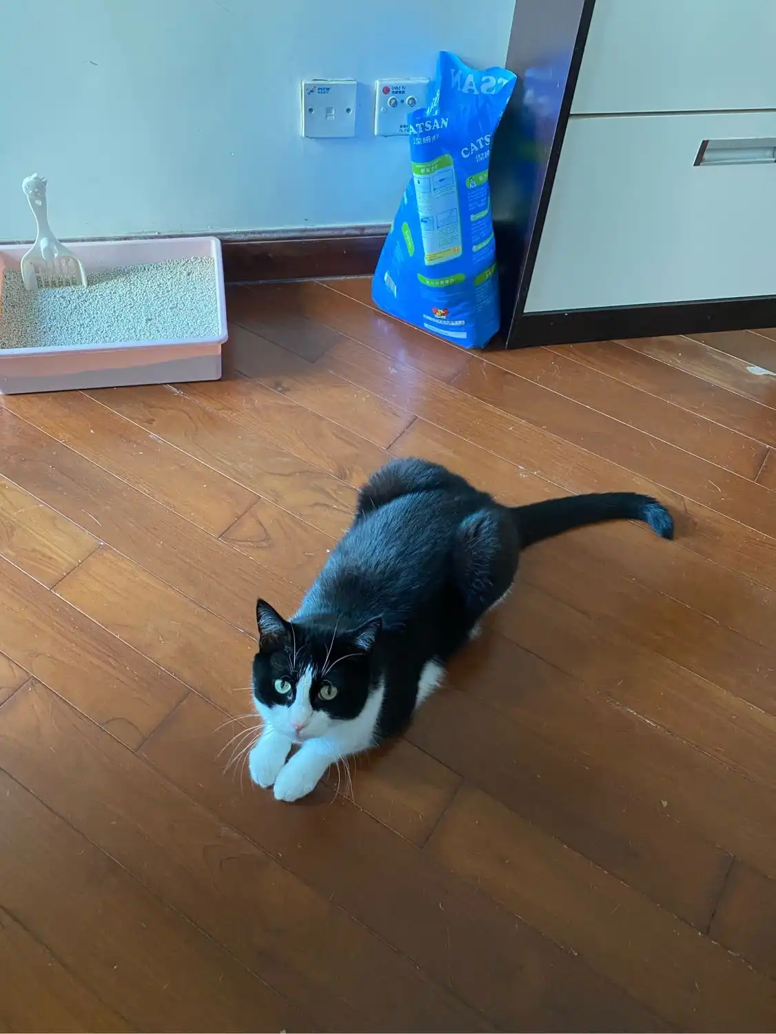 image-15