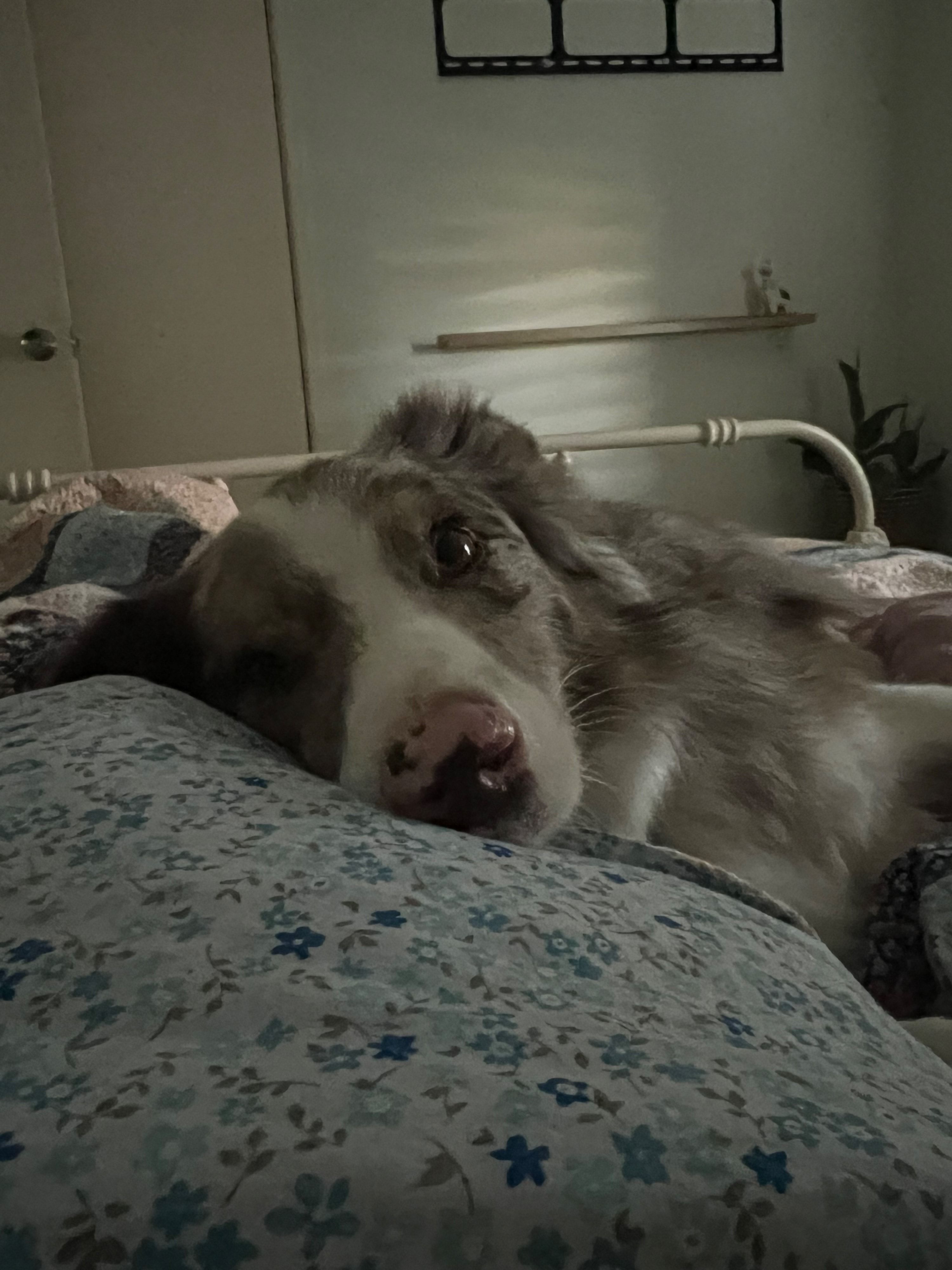 image-10