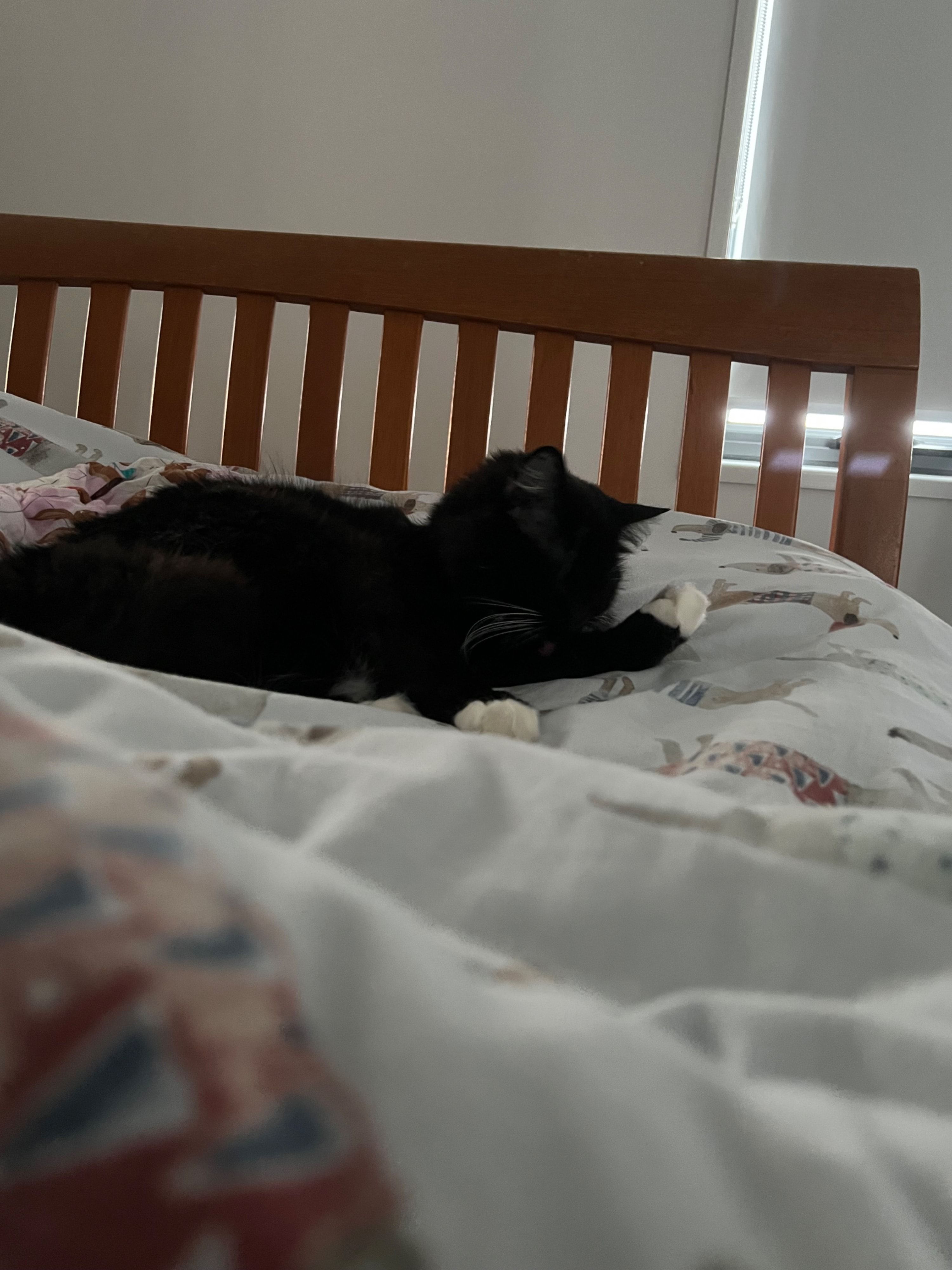 image-15