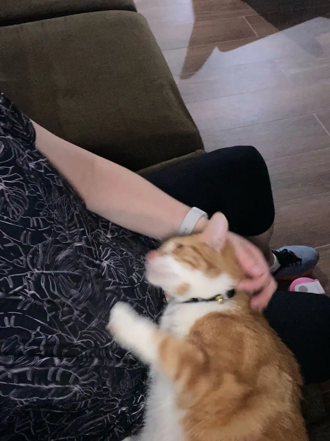 image-7