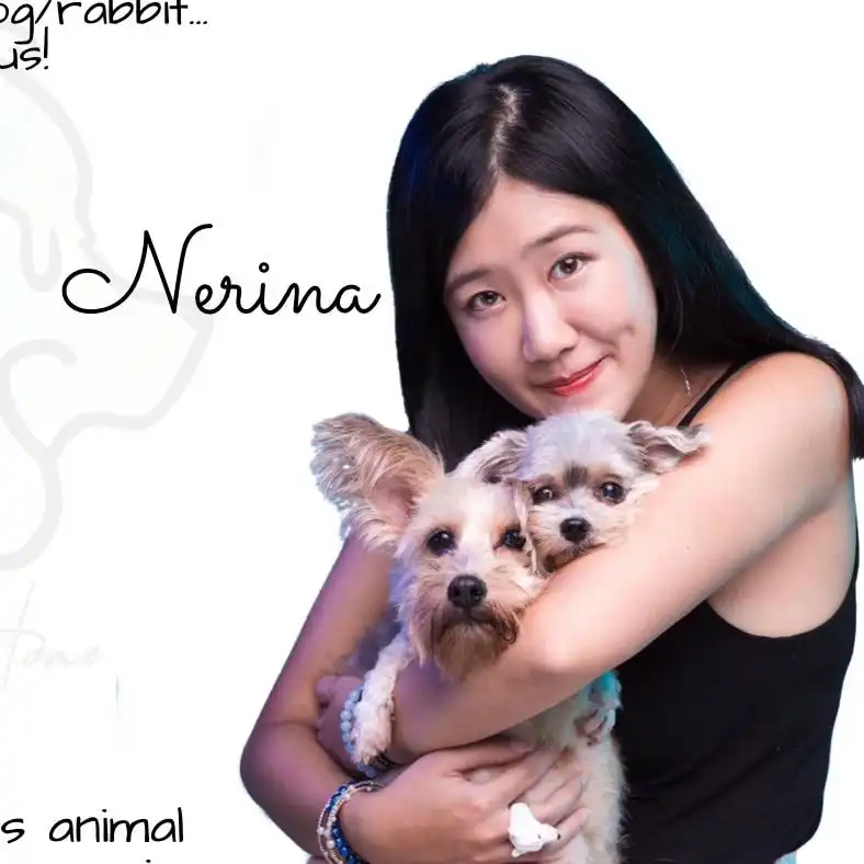 Nerina