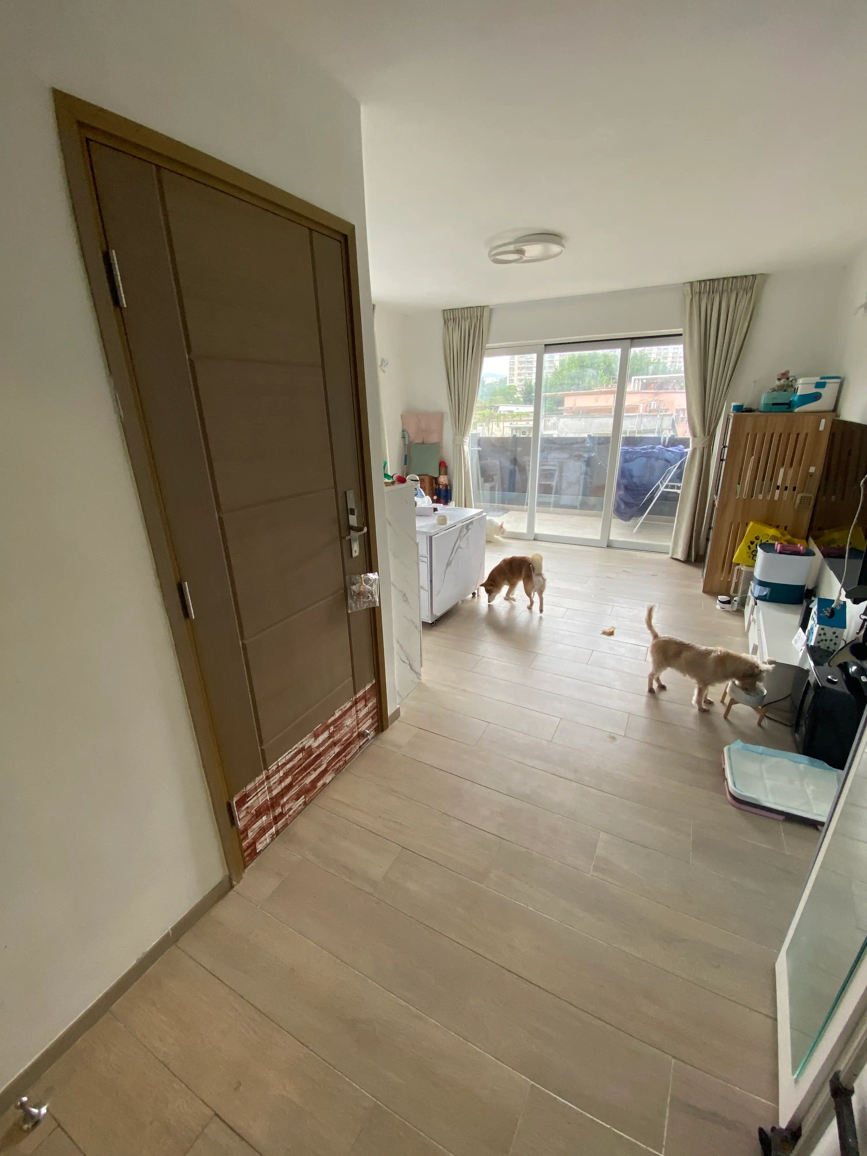 image-9
