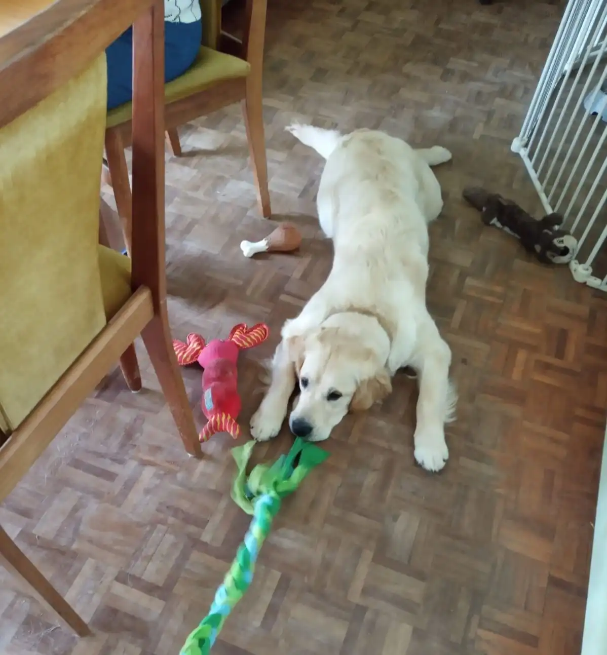image-13