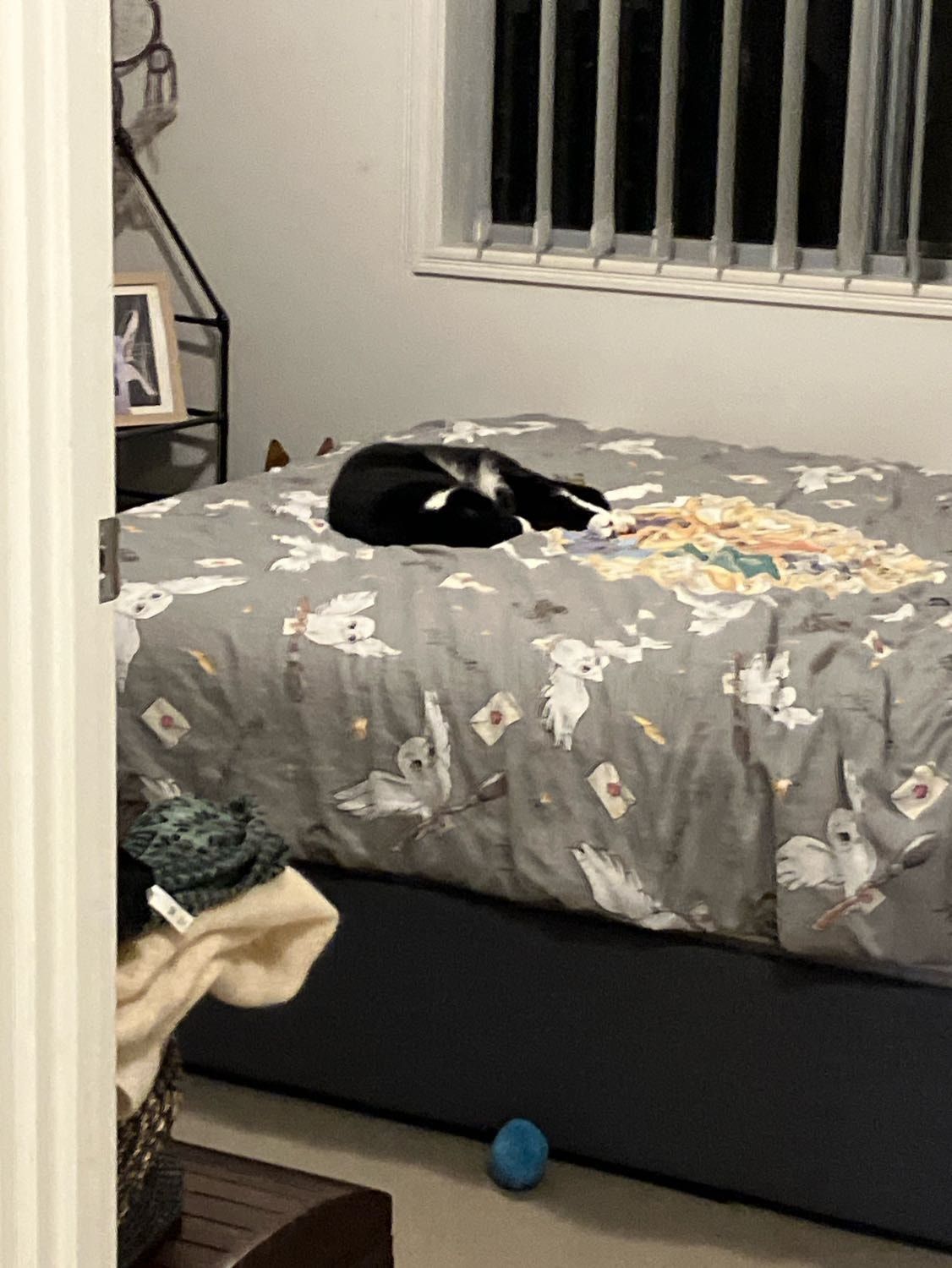 image-4