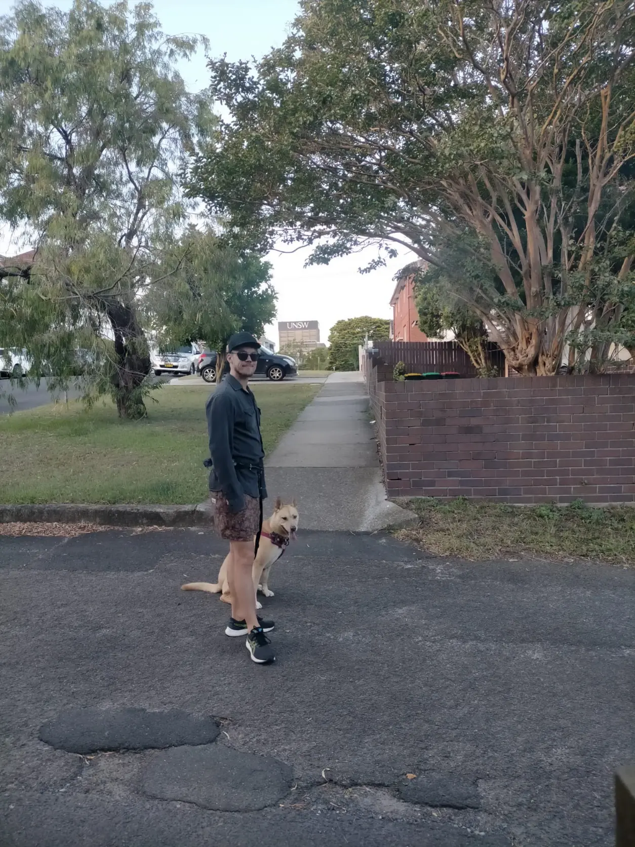 image-4