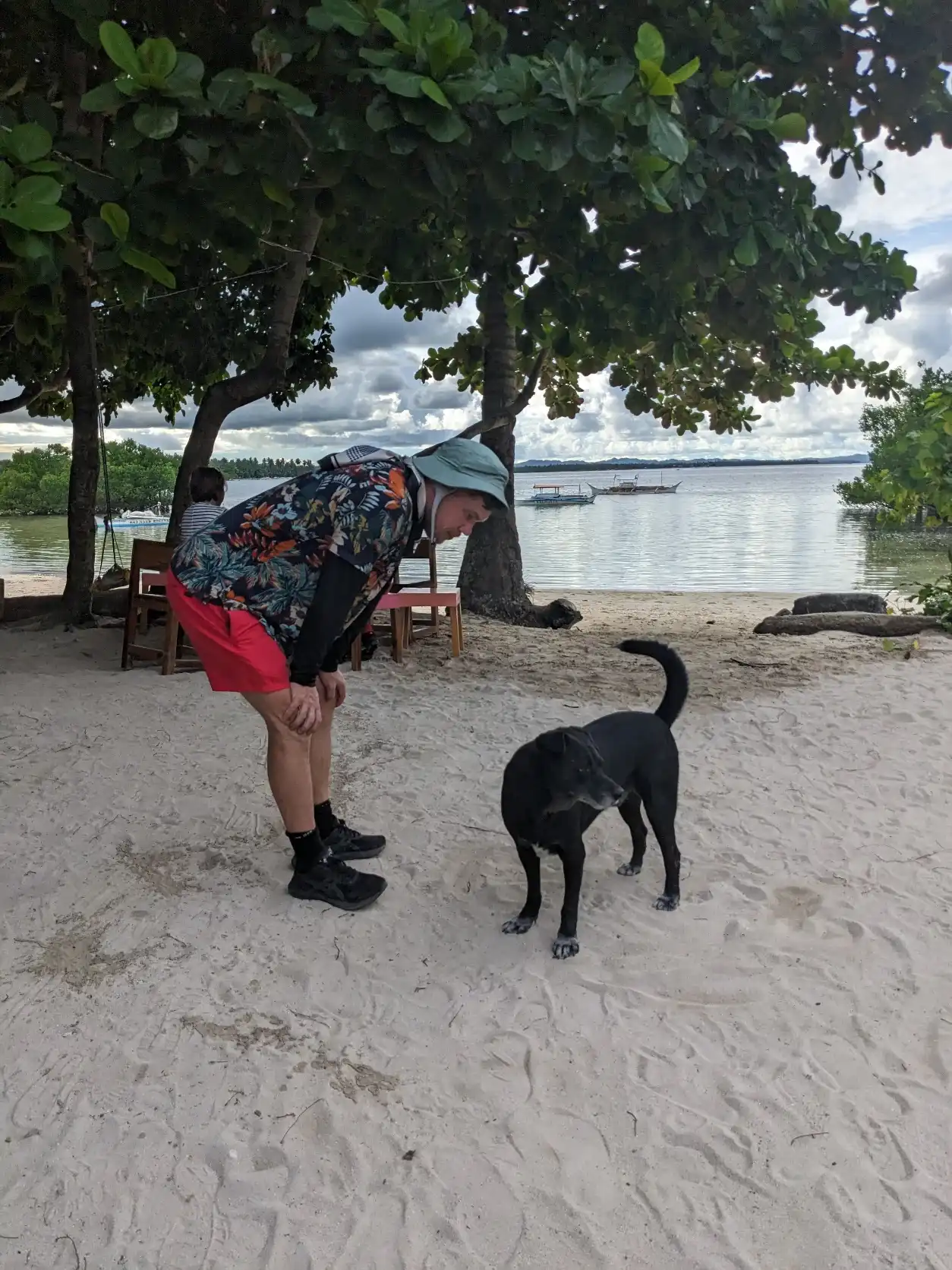 image-8