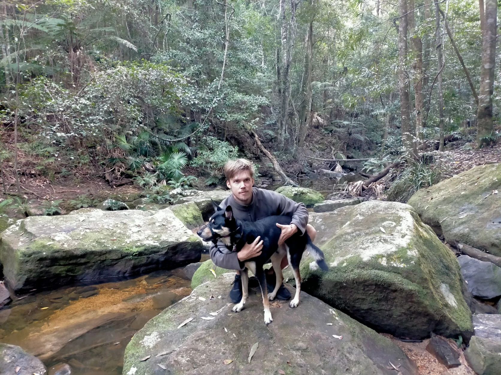 image-12