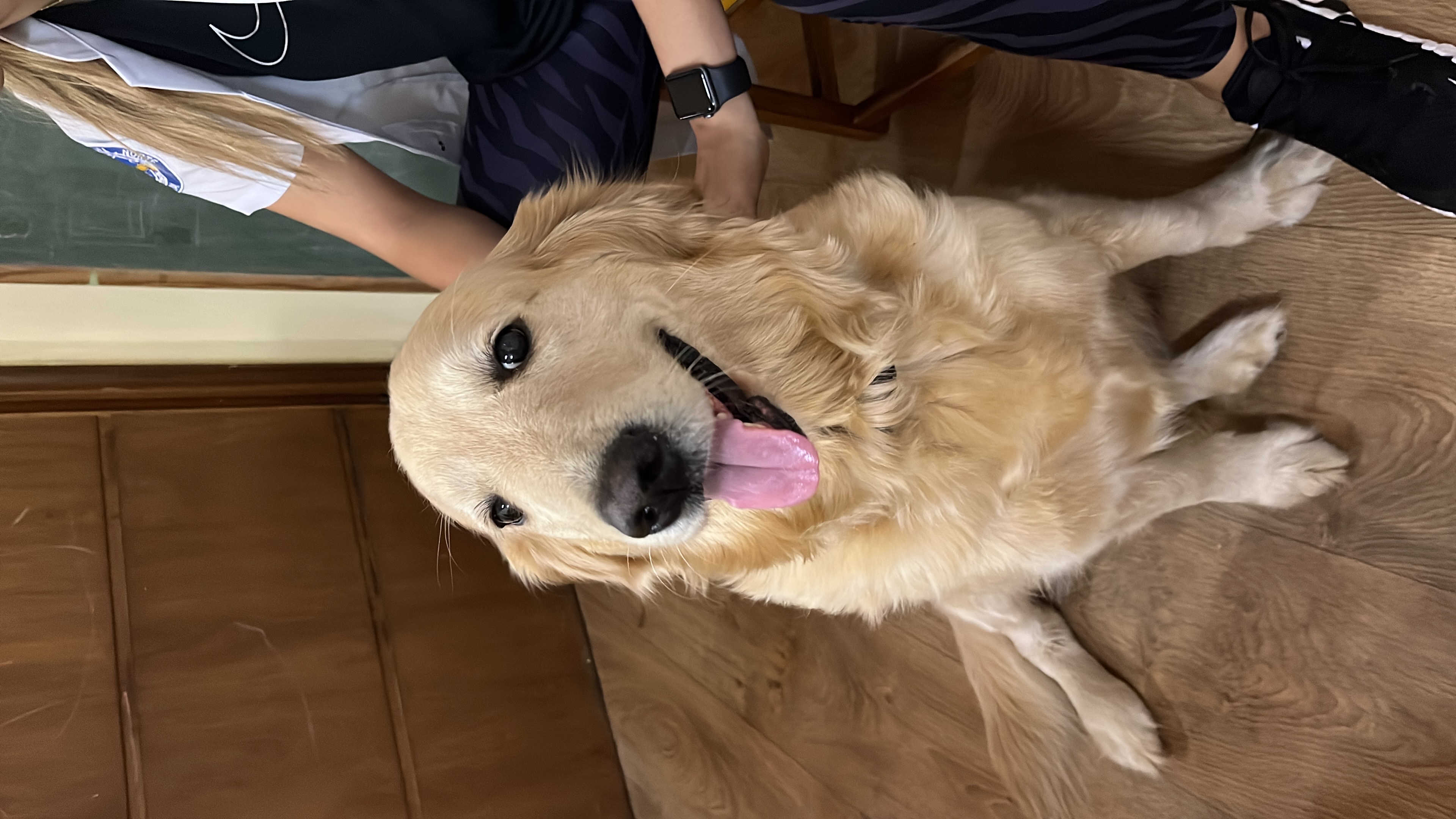 image-10