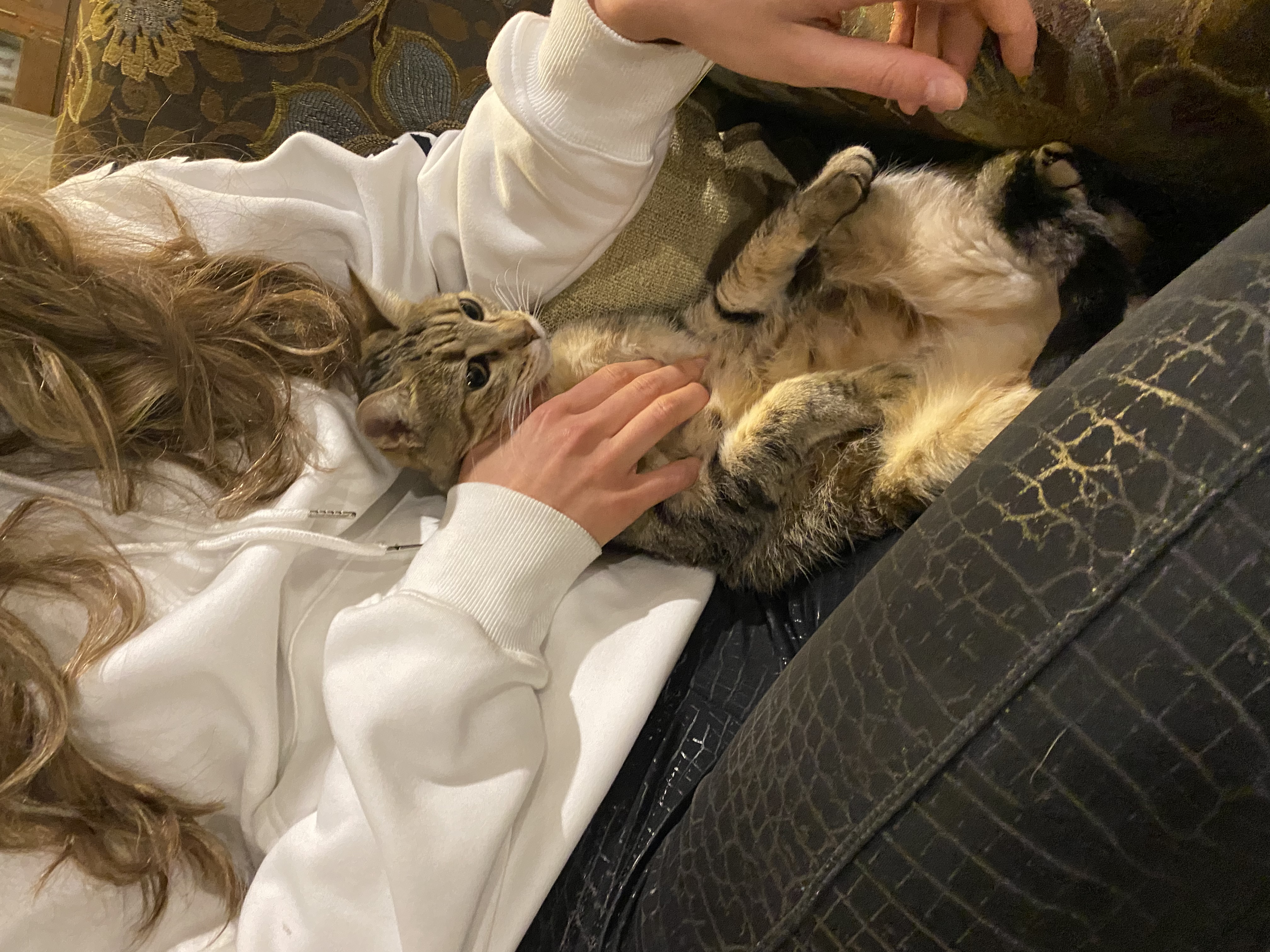 image-6
