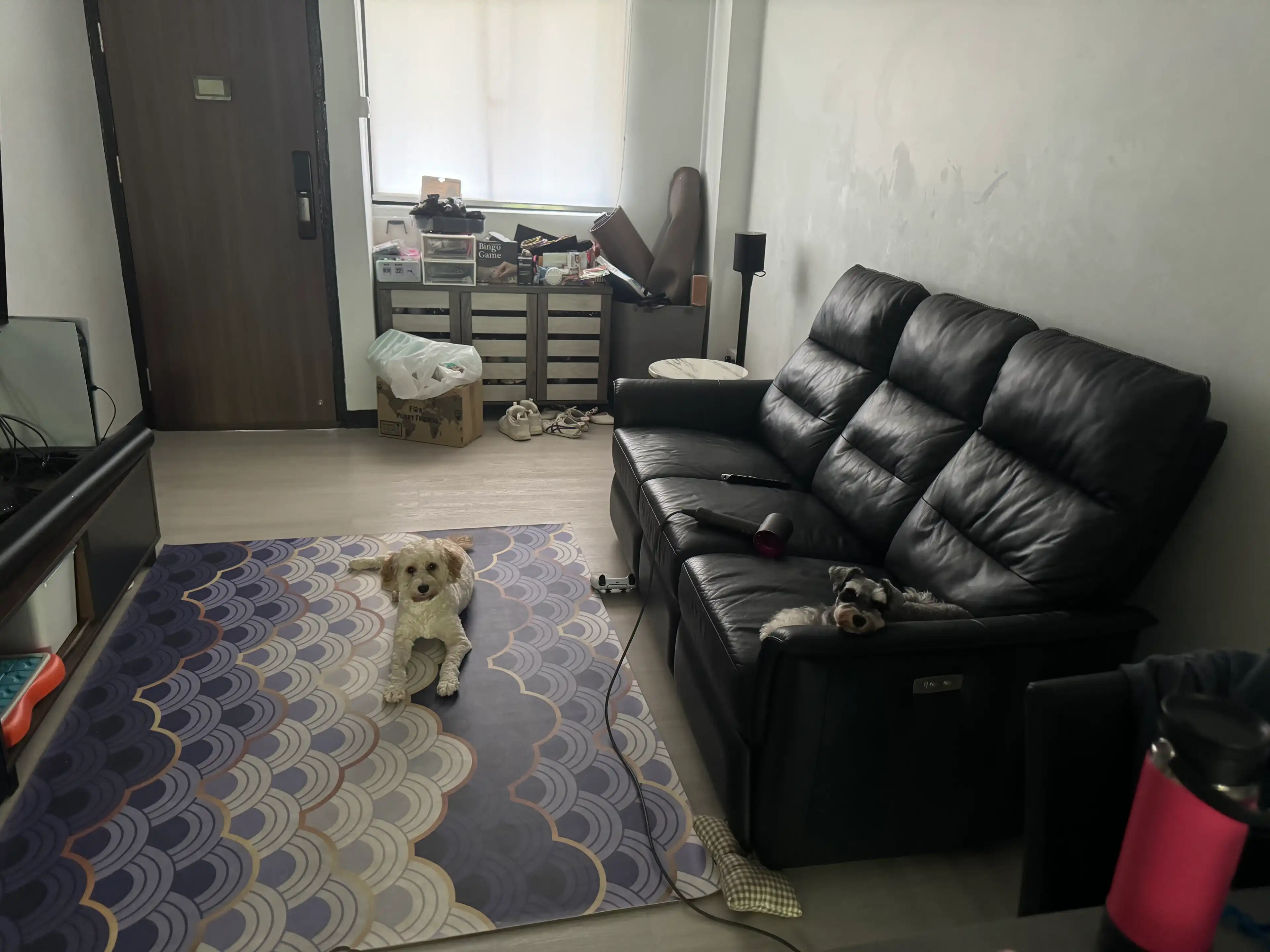 image-9