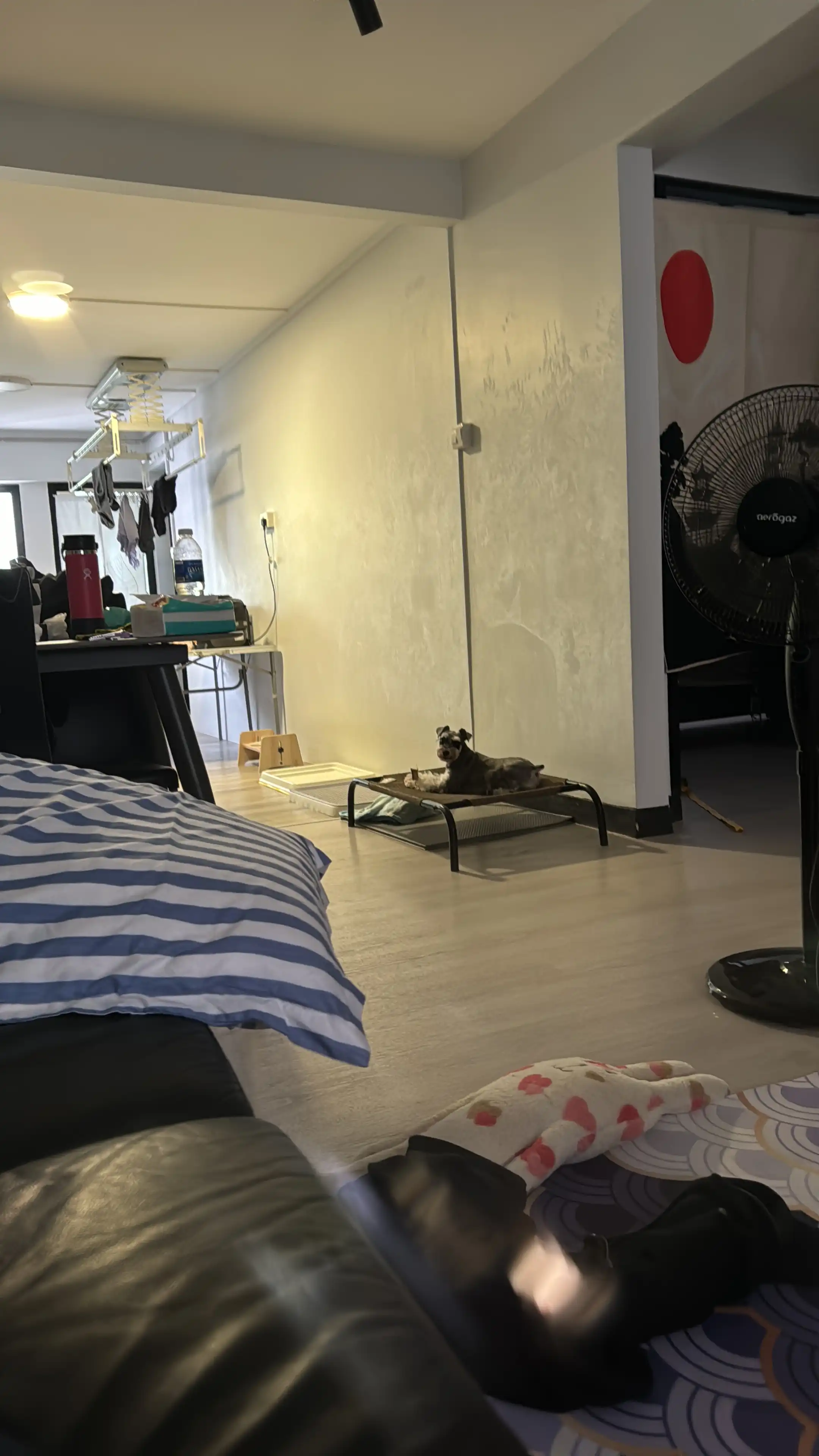 image-8