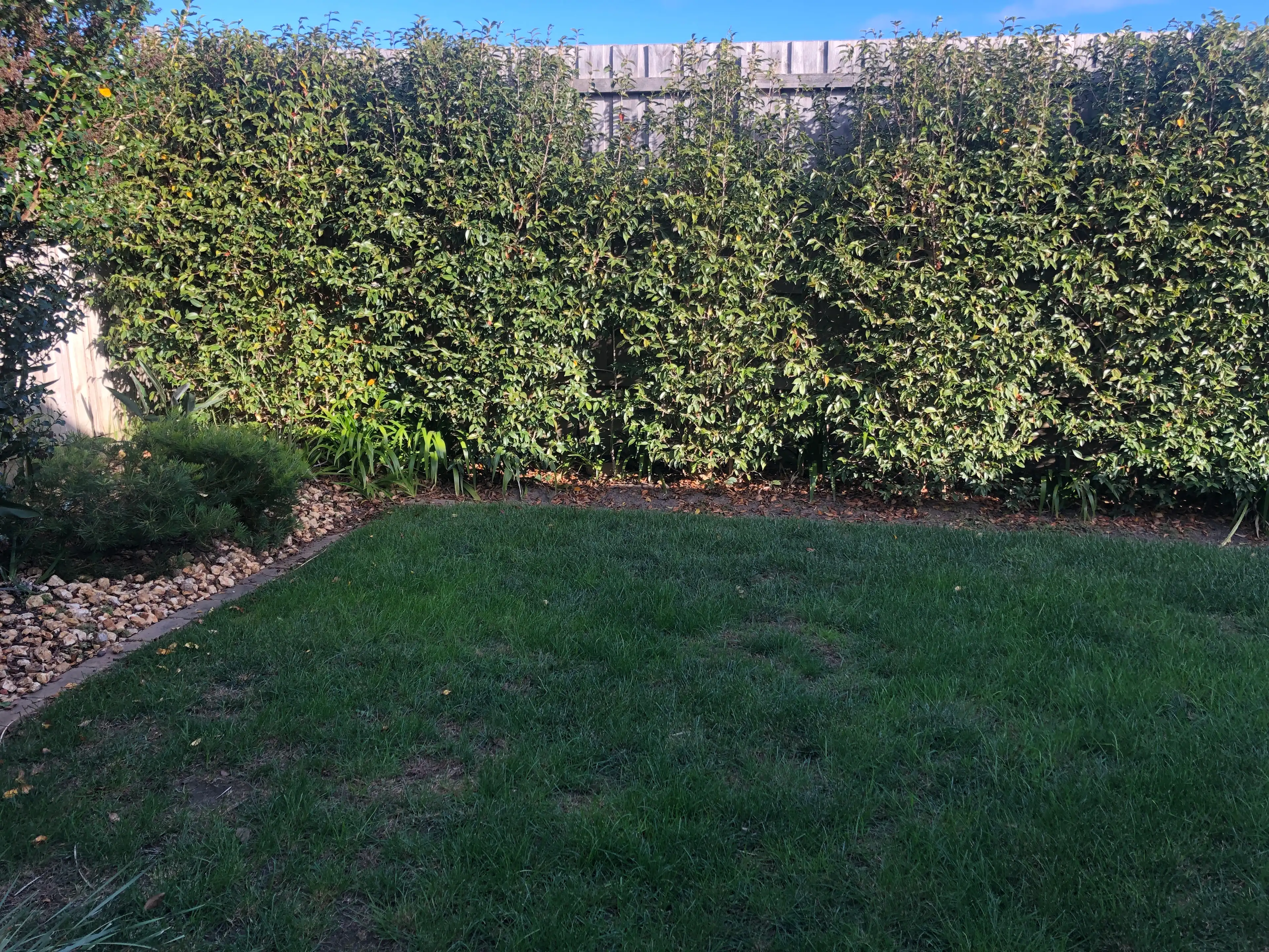 image-7
