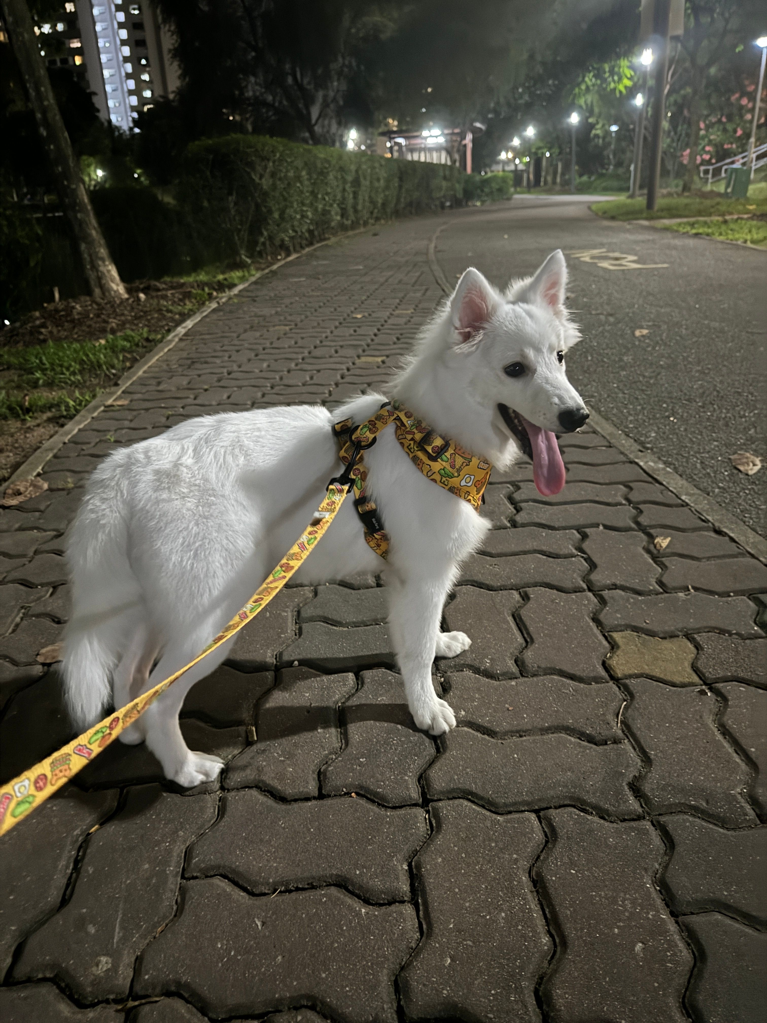 image-4