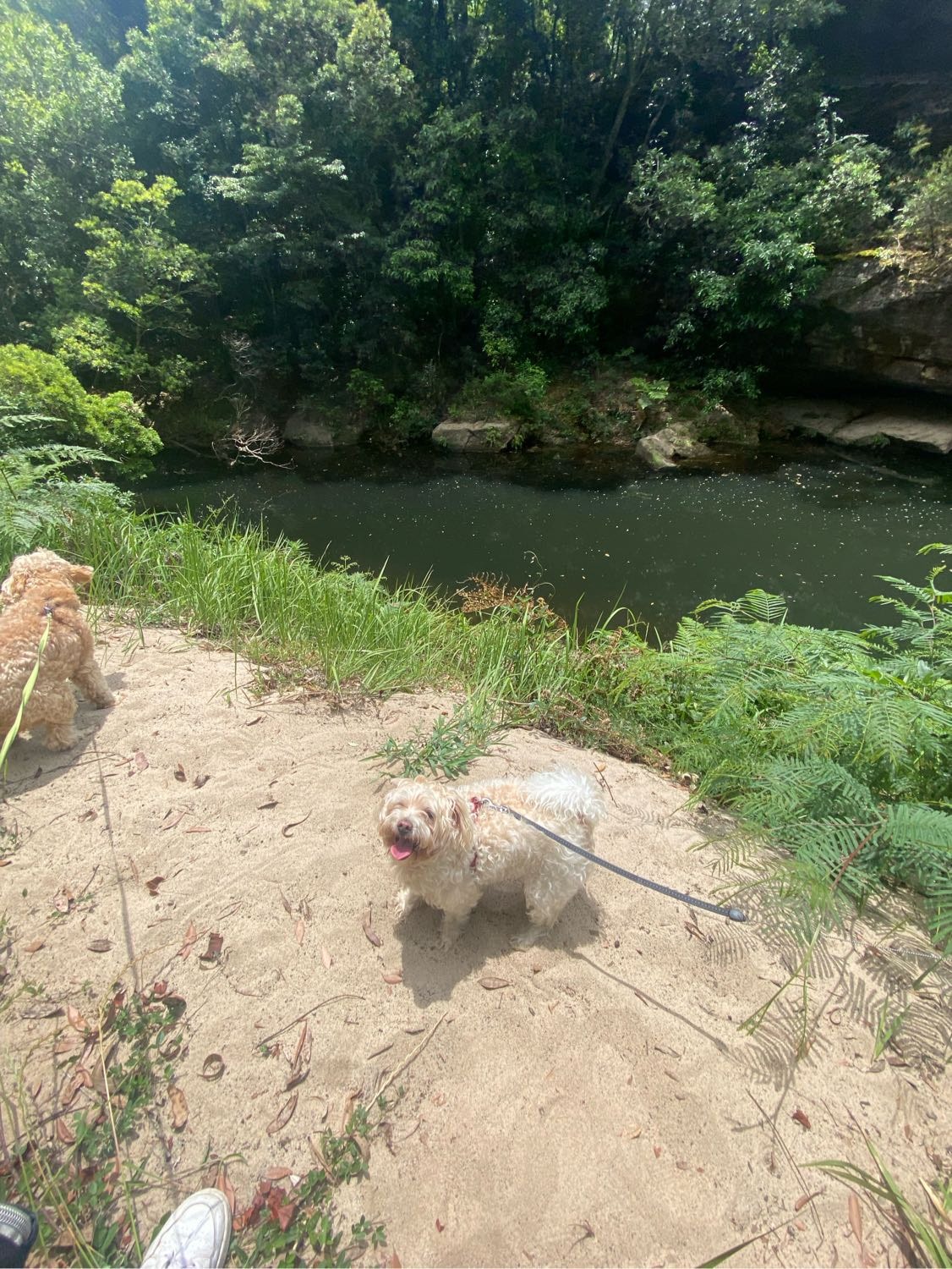image-9