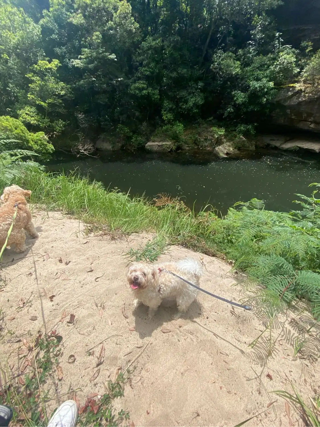 image-9