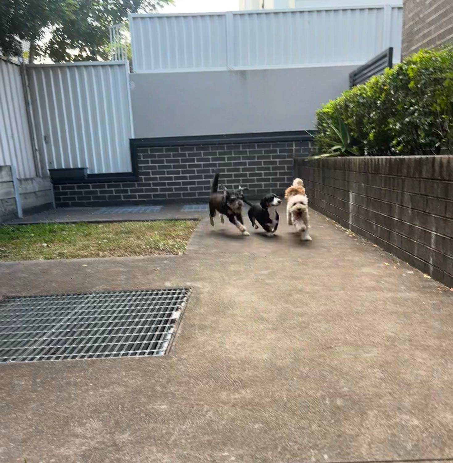 image-37