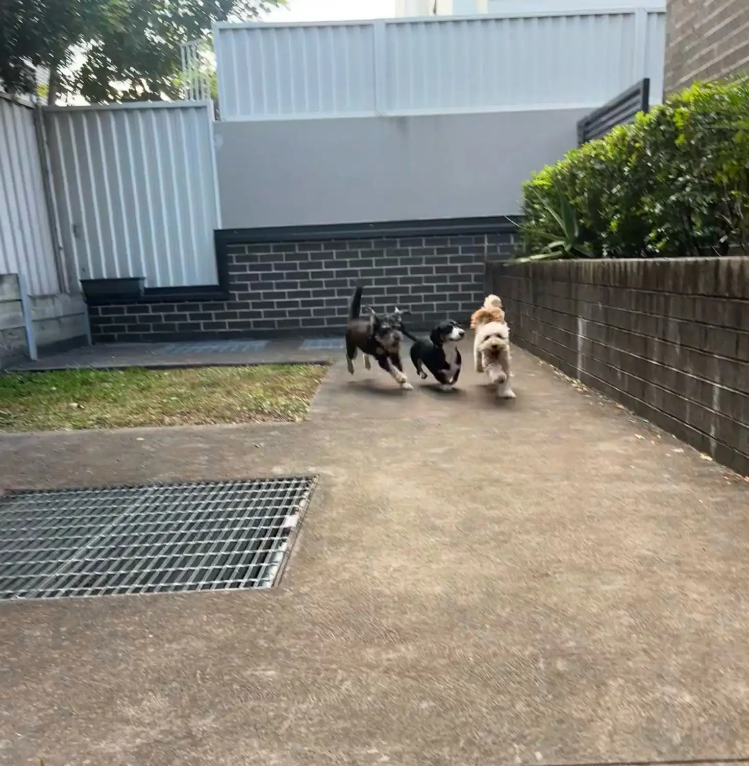 image-37
